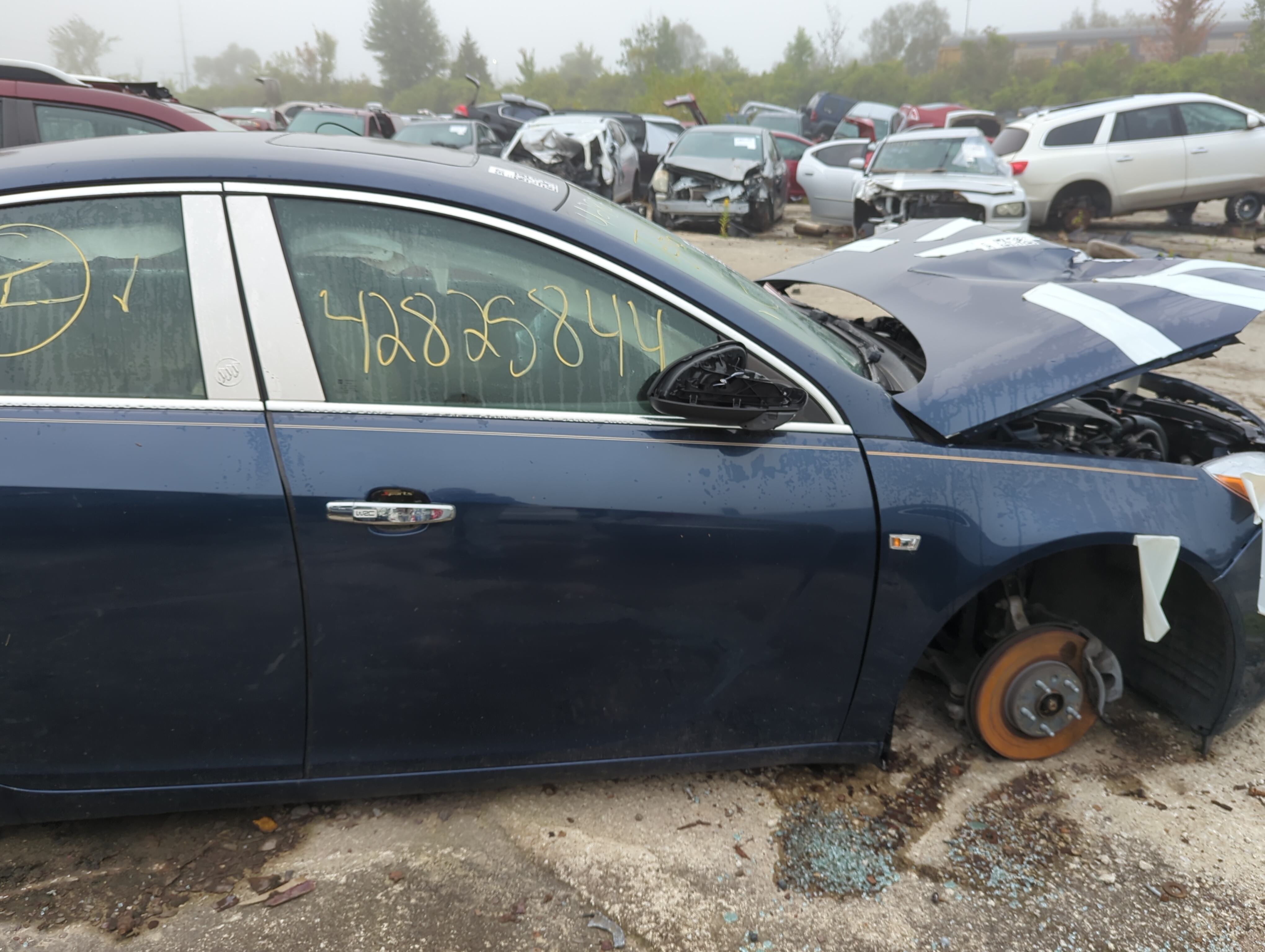 2011-2011 Buick Regal Passenger Front Door Oem 1167458 - Oemusedautoparts1.com