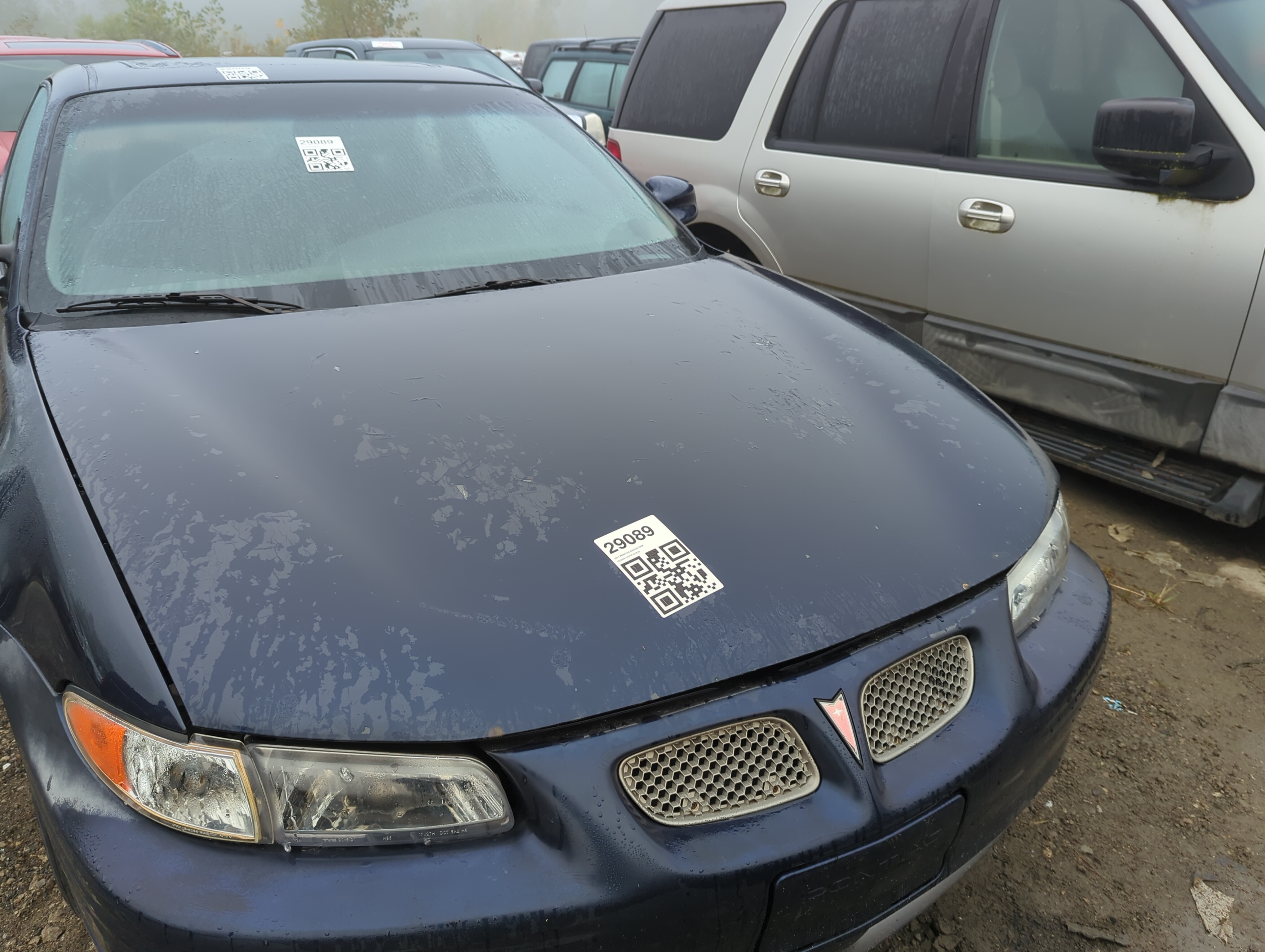 1997-2003 Pontiac Grand Prix Hood Oem 1168028 - Oemusedautoparts1.com