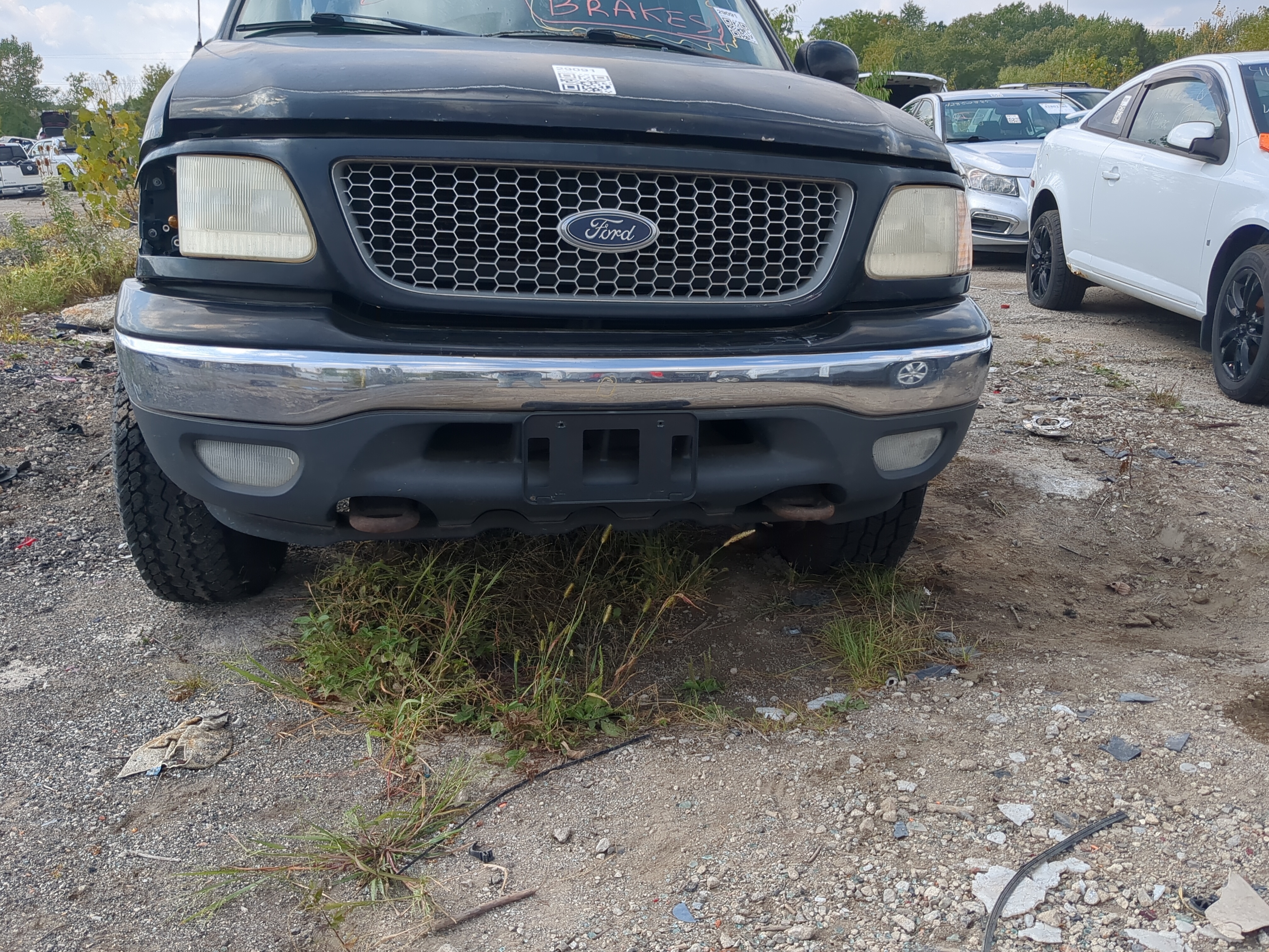 1999-2002 Ford F-150 Front Bumper - Oem 1168510 - Oemusedautoparts1.com