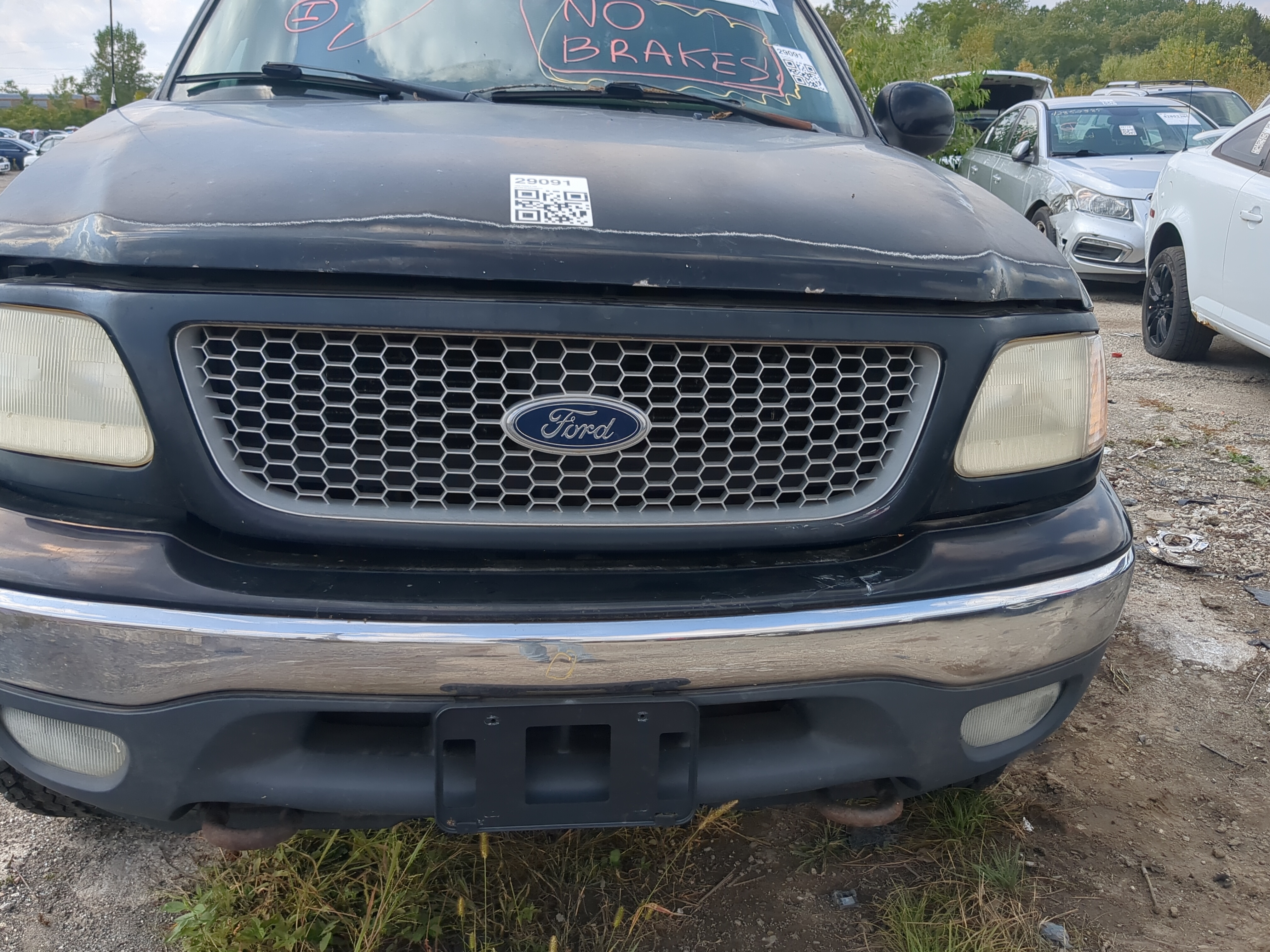 1999-2003 Ford F-150 Front Grille Bumper Not Included 1168514 - Oemusedautoparts1.com
