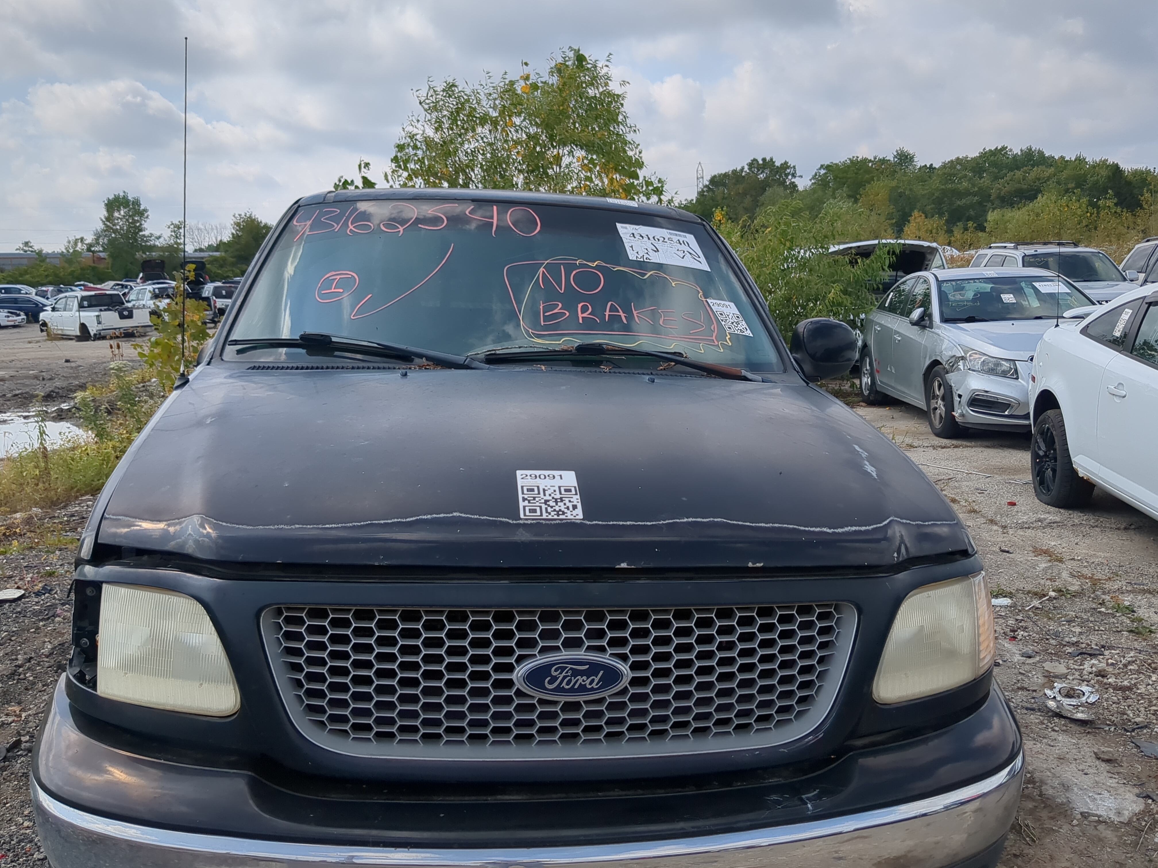 1999-2003 Ford F-150 Hood Oem 1168550 - Oemusedautoparts1.com