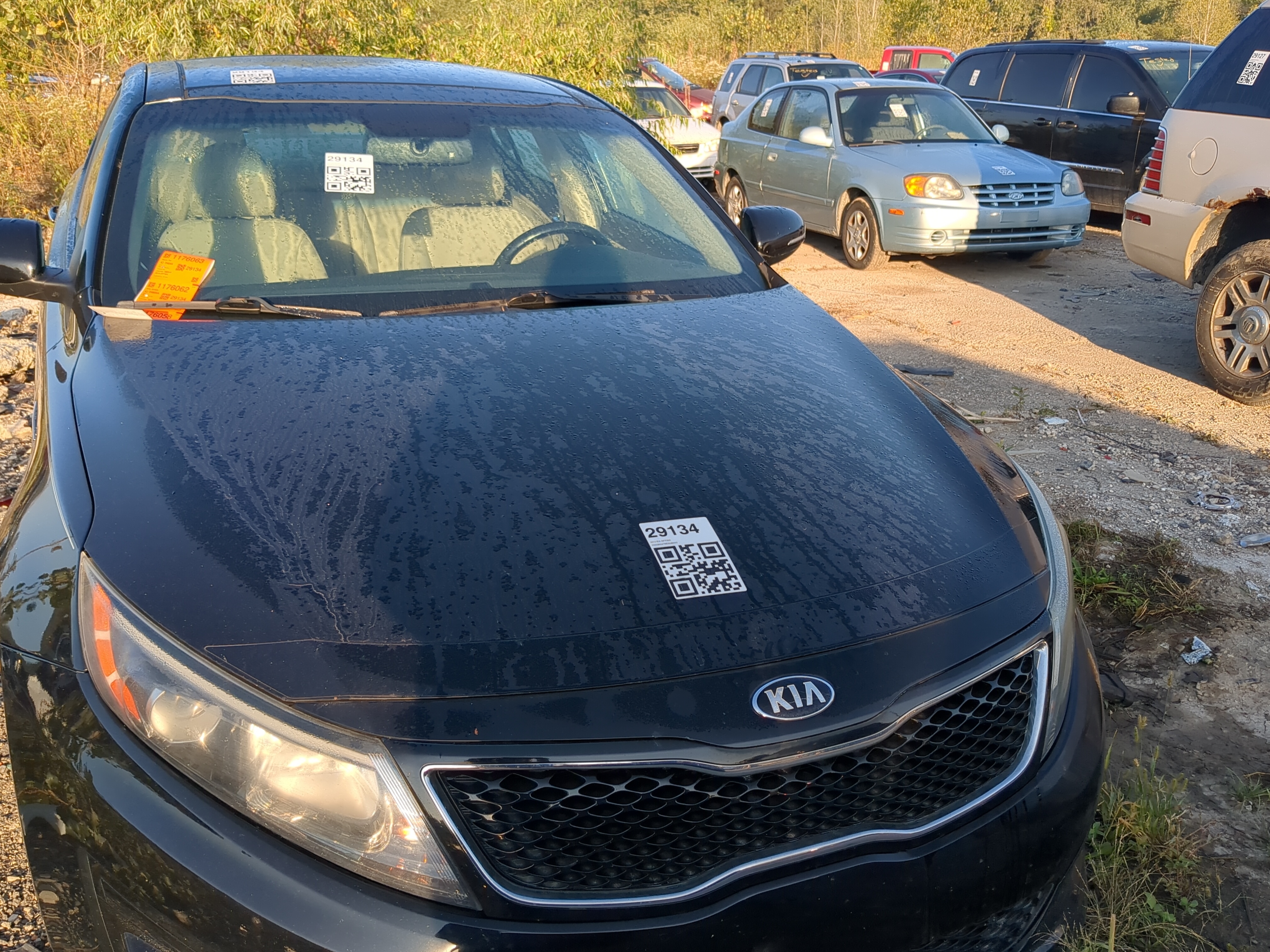 2011-2016 Kia Optima Hood Oem 1176183 - Oemusedautoparts1.com