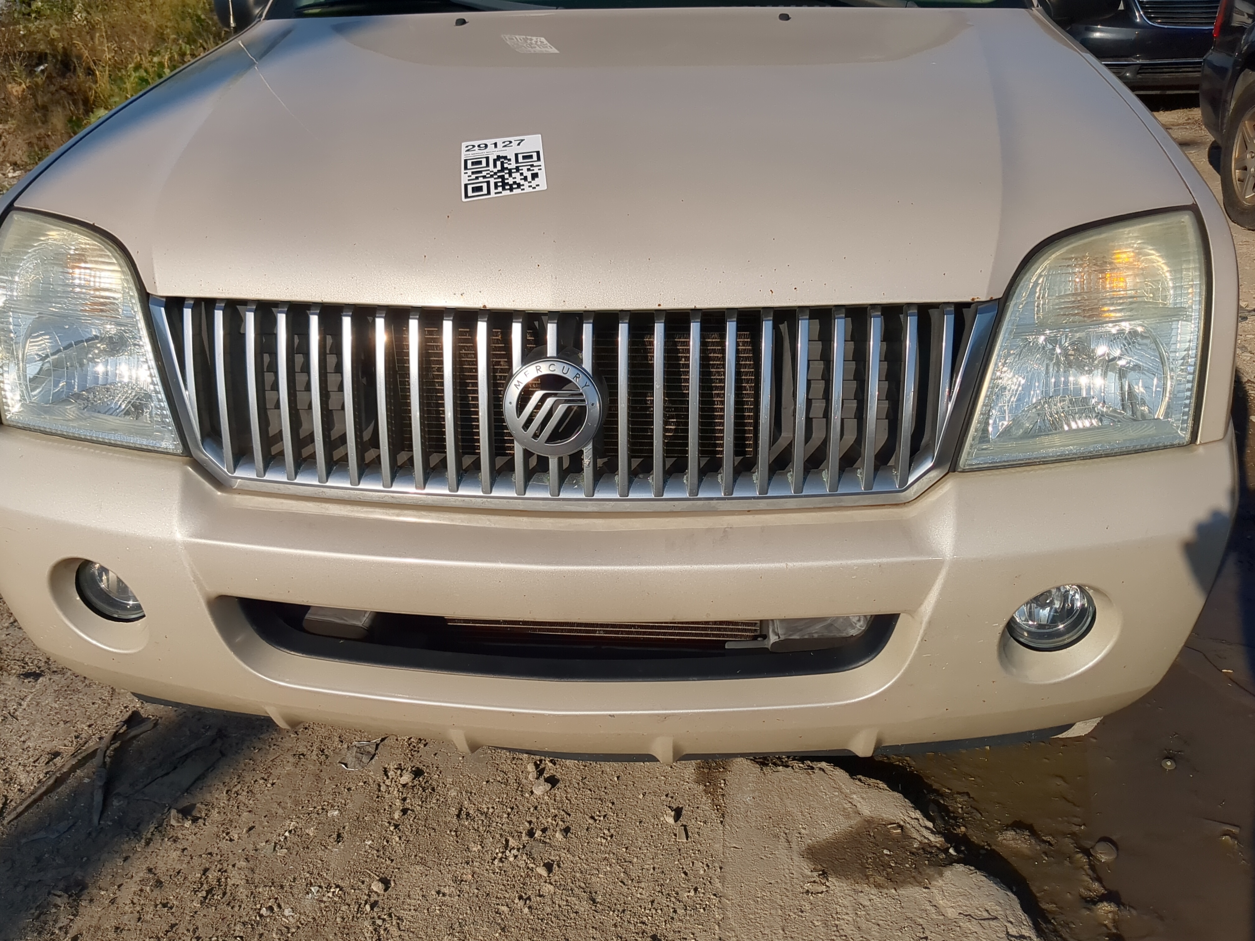 2002-2005 Mercury Mountaineer Front Grille Bumper Not Included 1177006 - Oemusedautoparts1.com