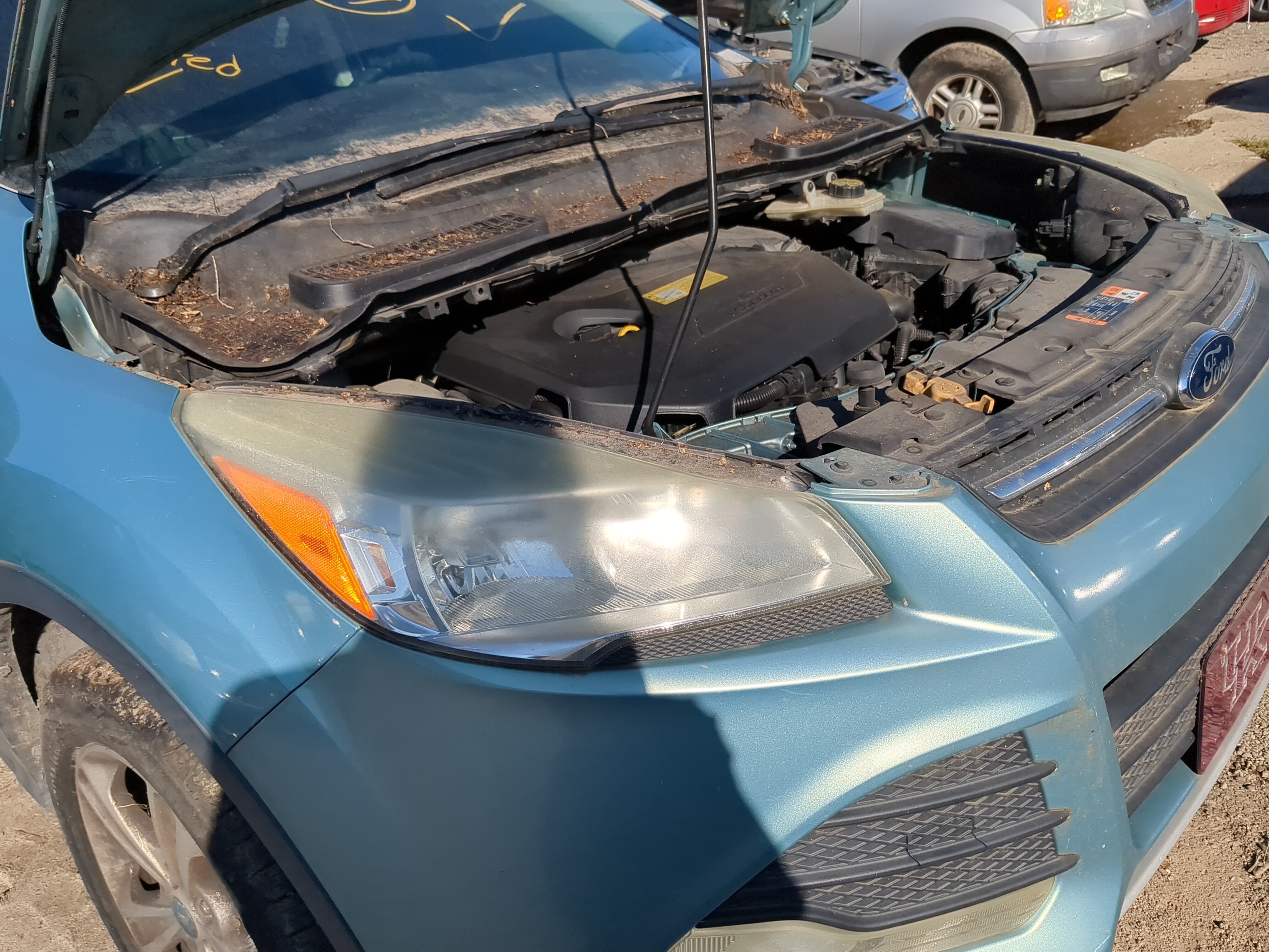 2013-2016 Ford Escape Passenger Right Oem Head Light Headlight Lamp 1180055 - Oemusedautoparts1.com