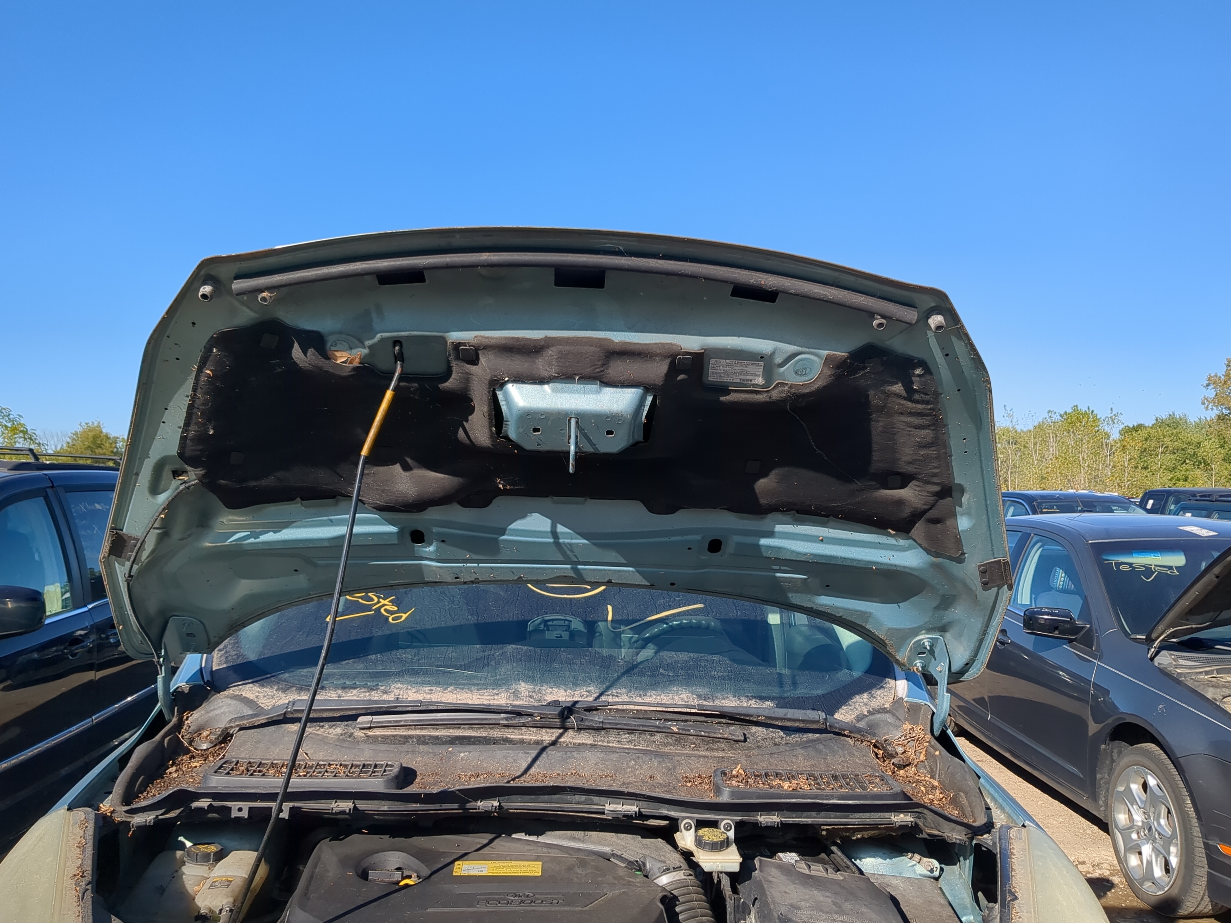 2013-2016 Ford Escape Hood Oem 1180095 - Oemusedautoparts1.com