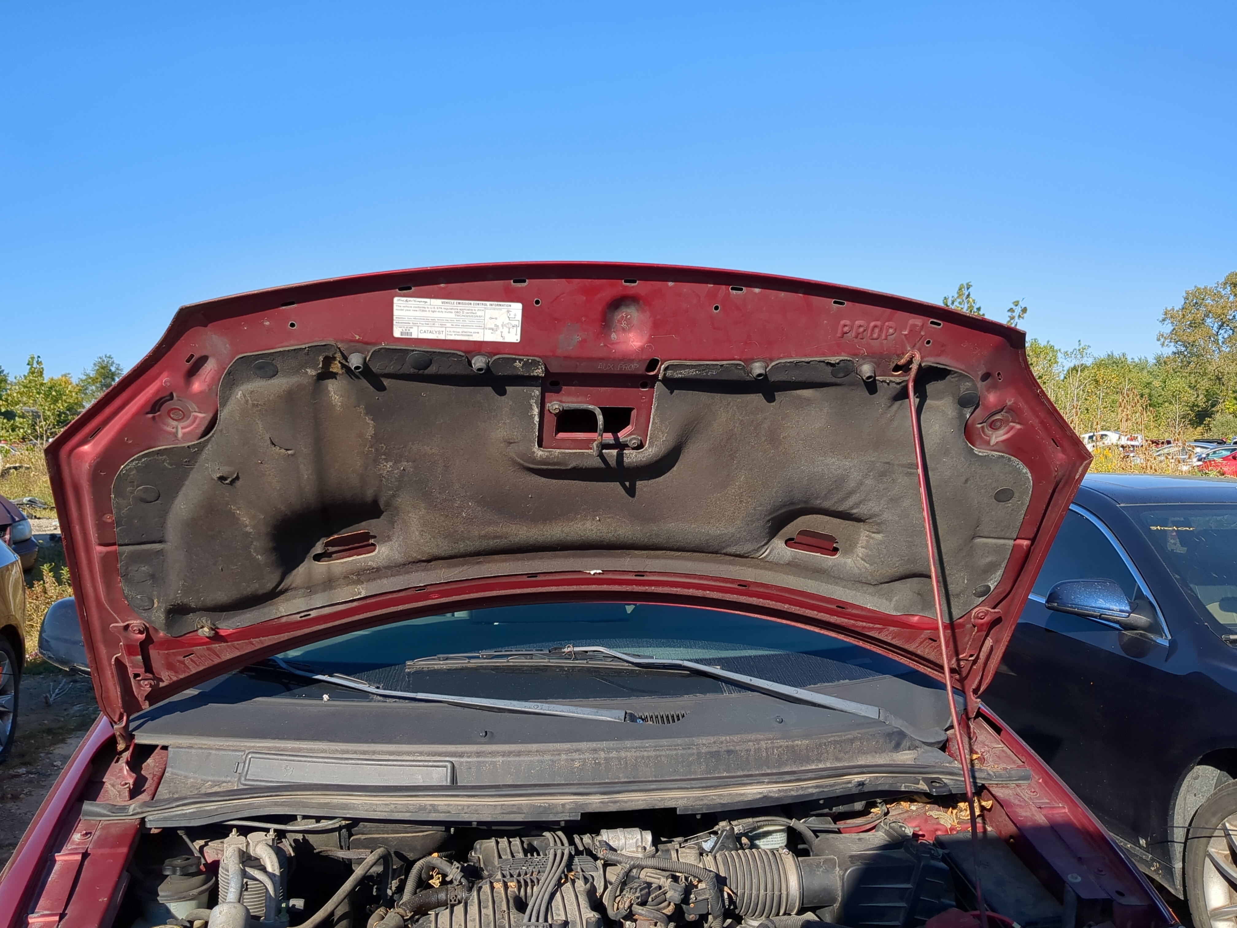 2004-2007 Ford Freestar Hood Oem 1180174 - Oemusedautoparts1.com