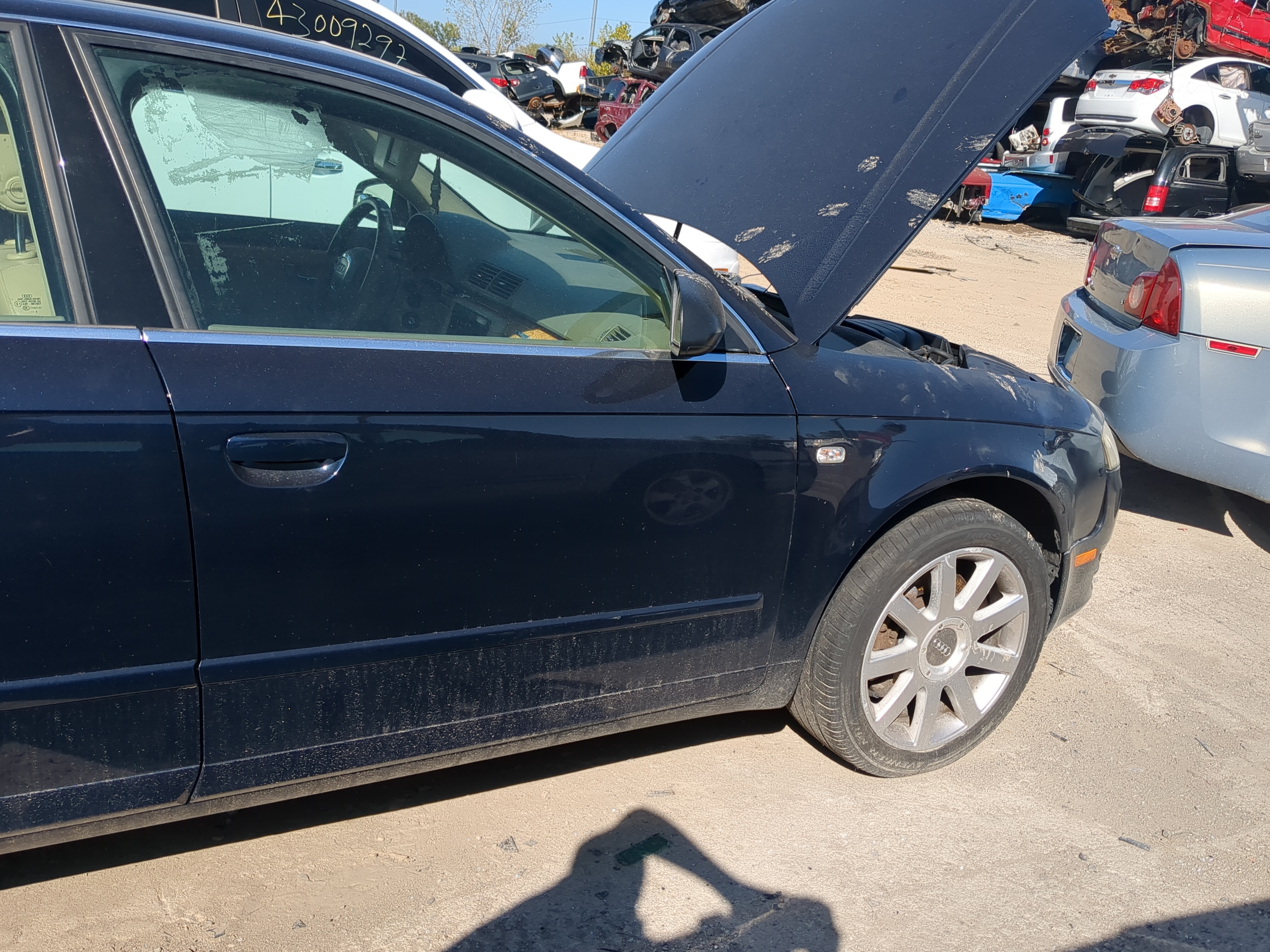 2005-2008 Audi A4 Quattro Passenger Front Door Oem 1181138 - Oemusedautoparts1.com