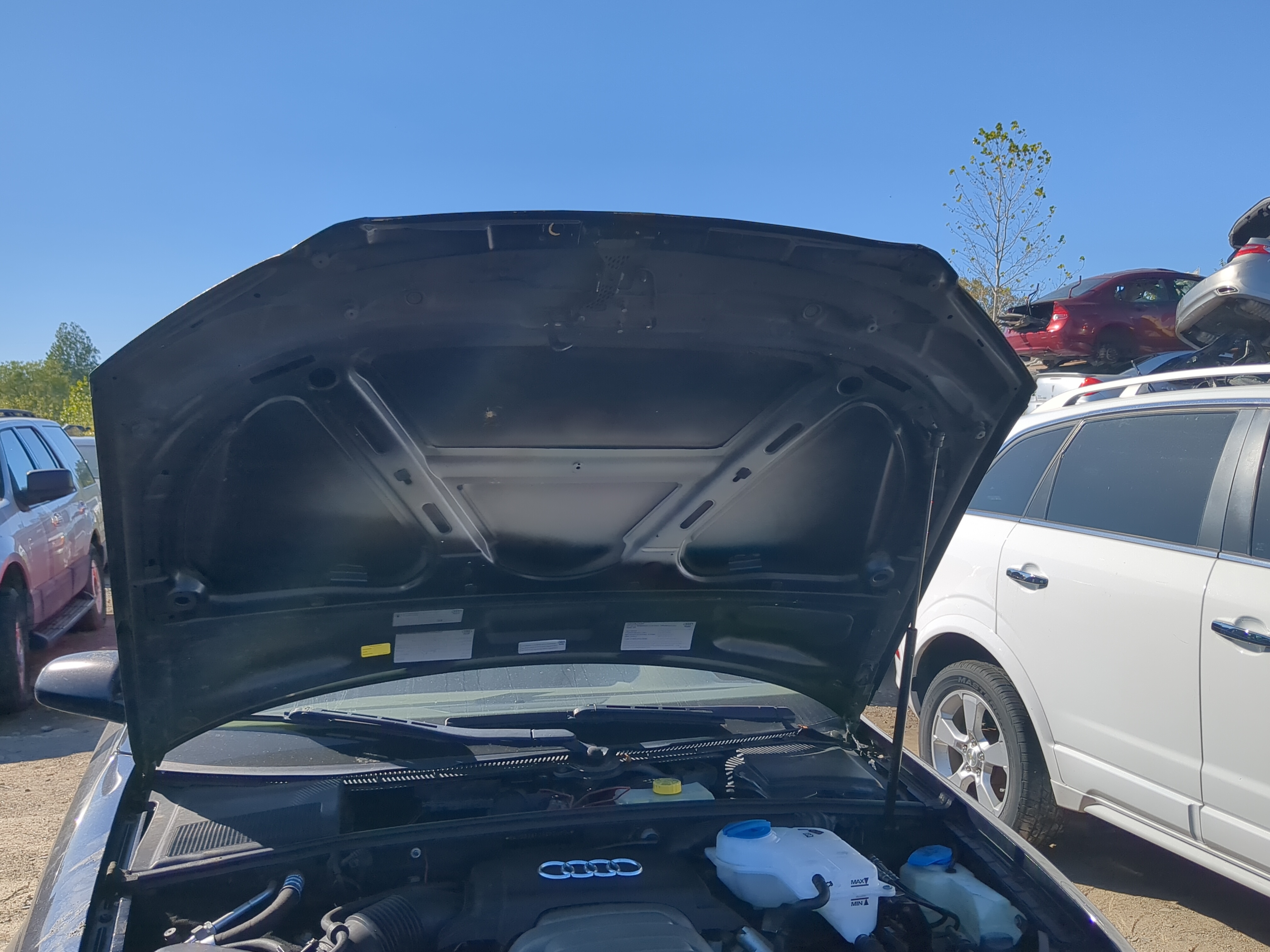 2005-2008 Audi A4 Quattro Hood Oem 1181216 - Oemusedautoparts1.com