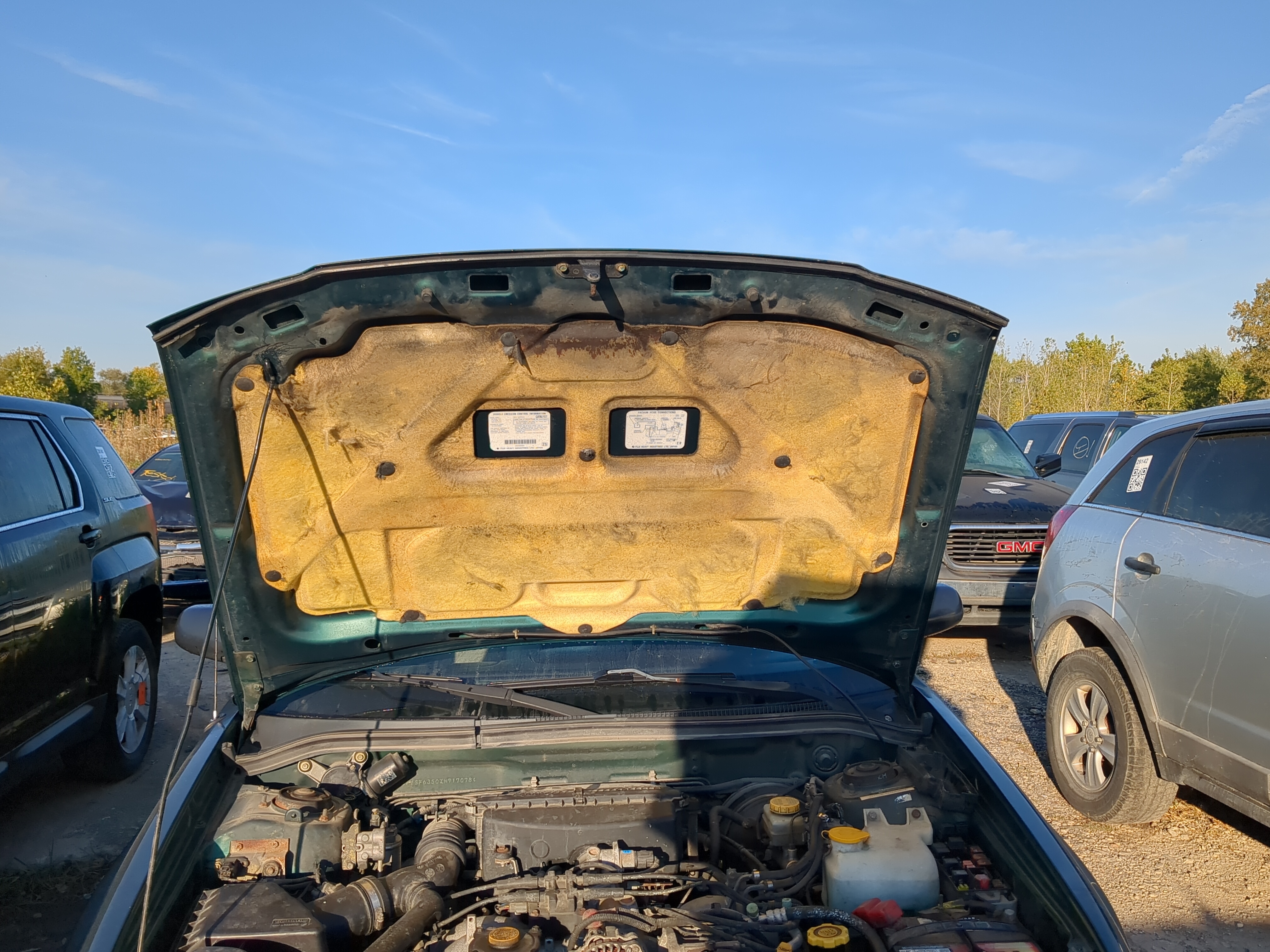 1998-2000 Subaru Forester Hood Oem 1181530 - Oemusedautoparts1.com