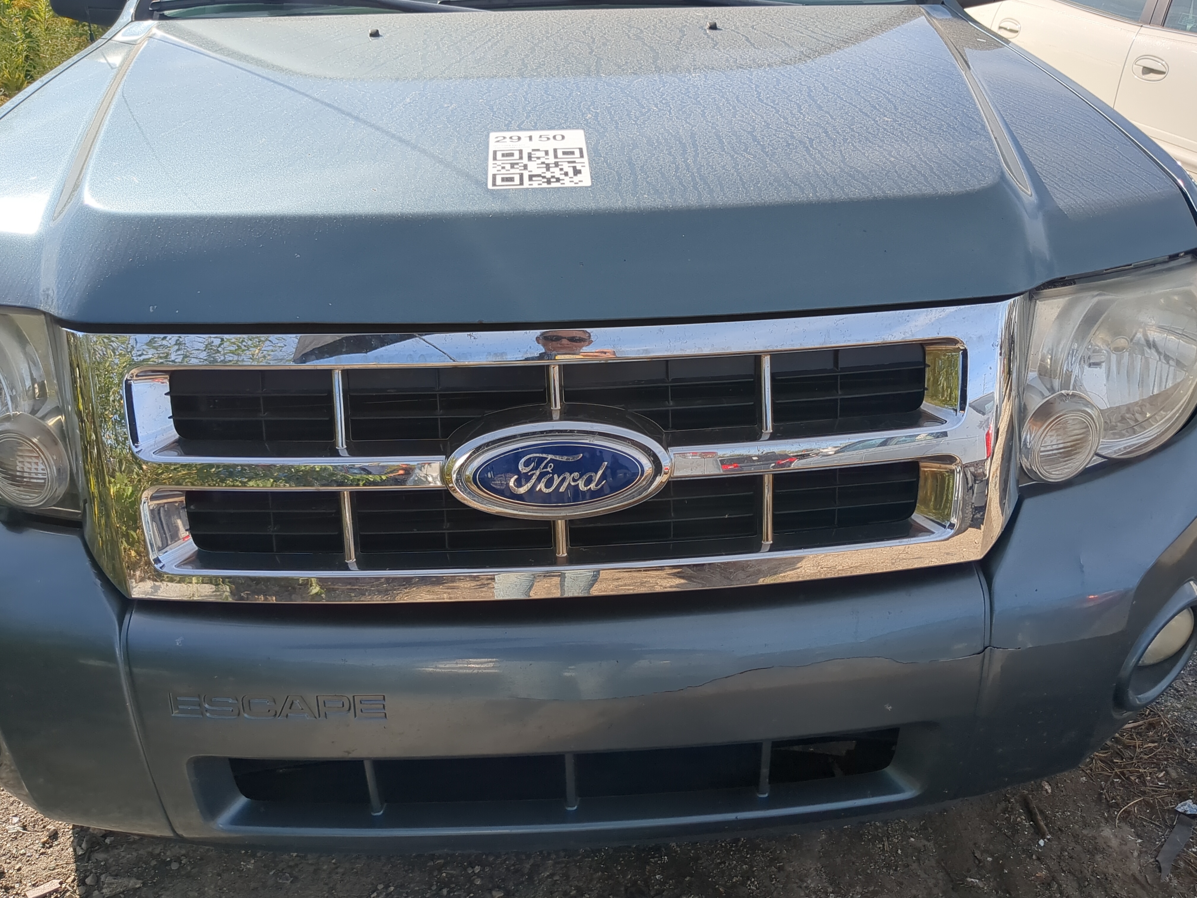 2008-2012 Ford Escape Front Grille Bumper Not Included 1183226 - Oemusedautoparts1.com