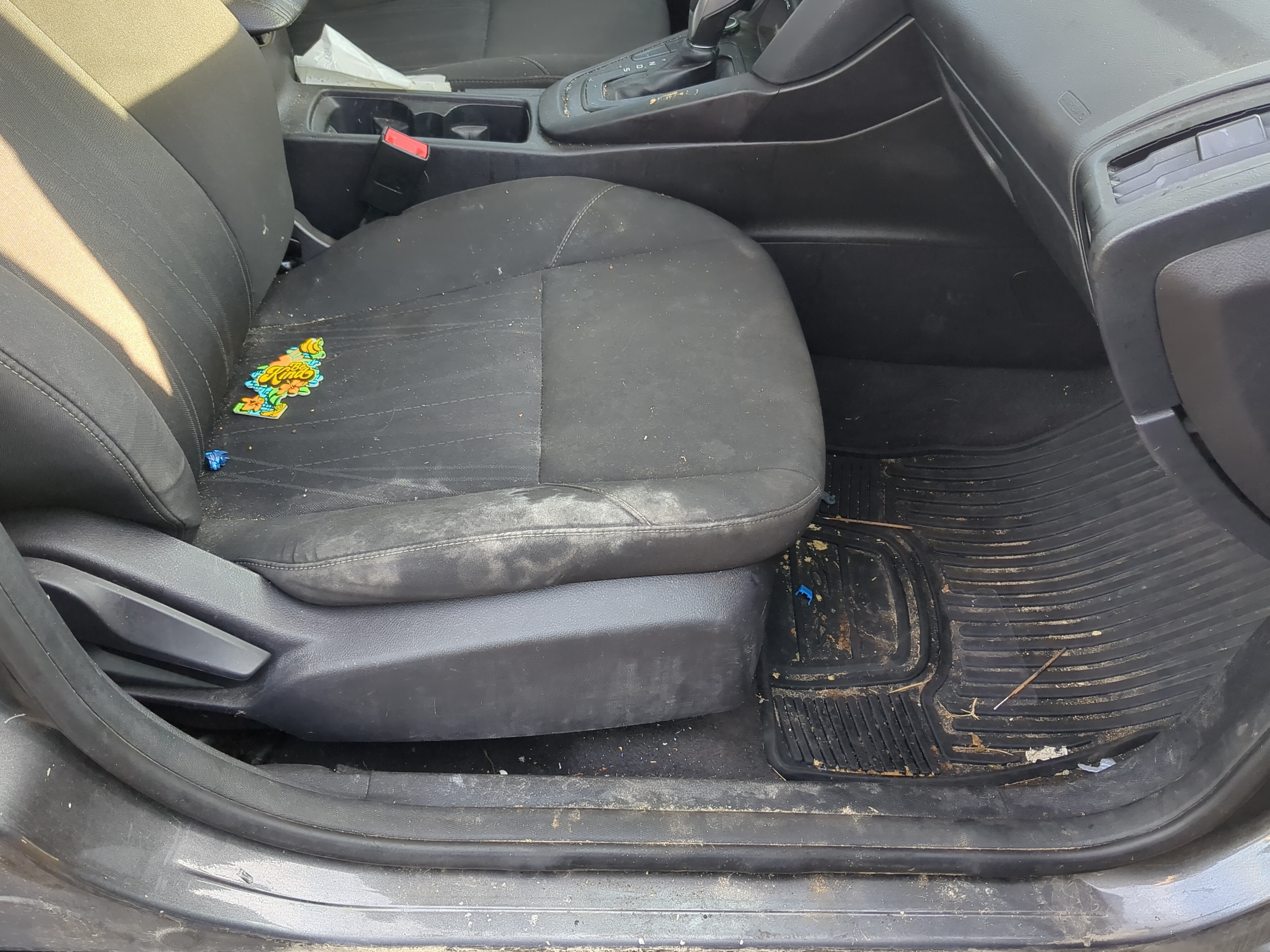 Picture of 2015-2018 Ford Focus Passenger Front Seat Oem 1184668