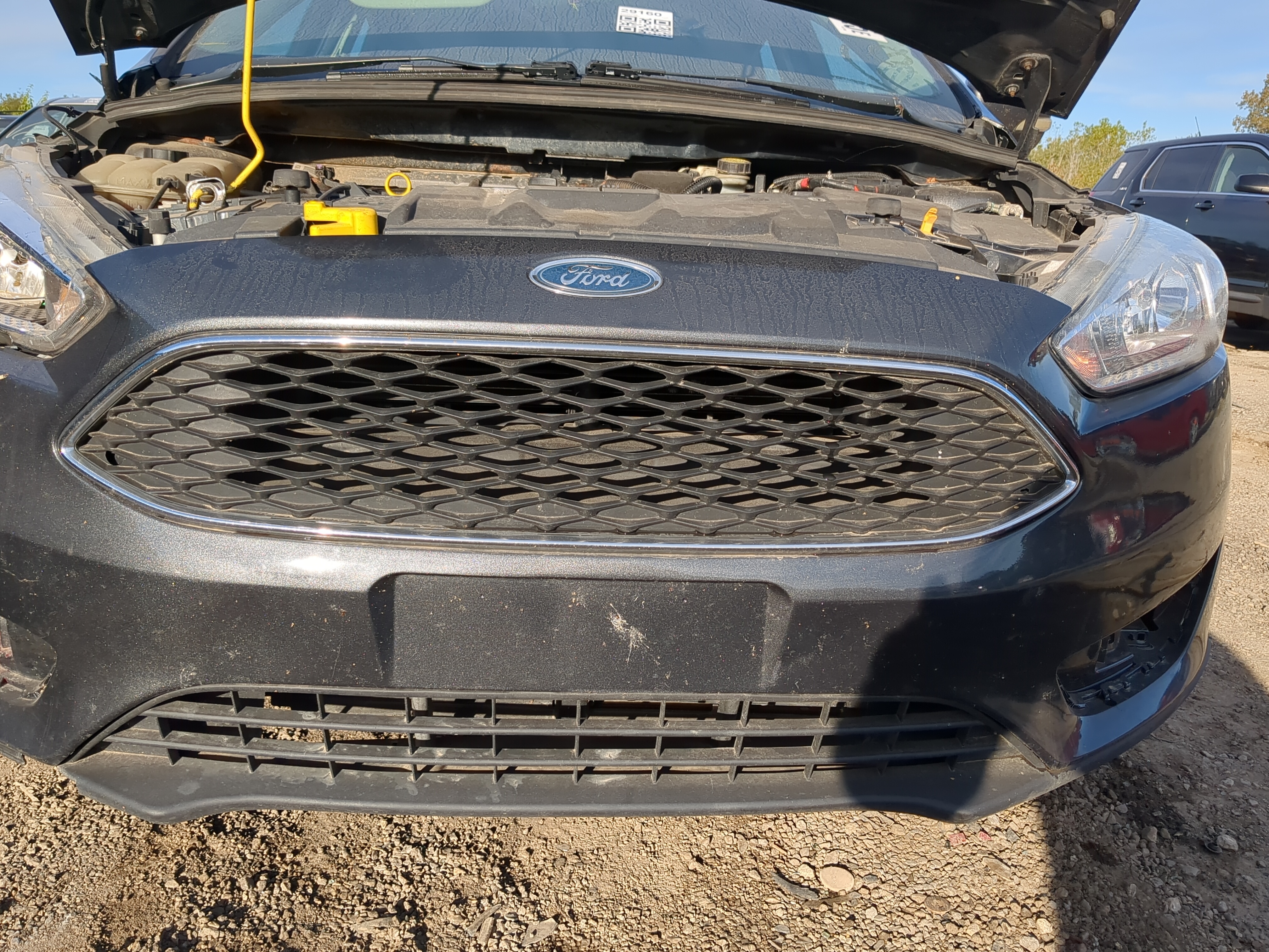 2012-2018 Ford Focus Front Grille Bumper Not Included 1184731 - Oemusedautoparts1.com