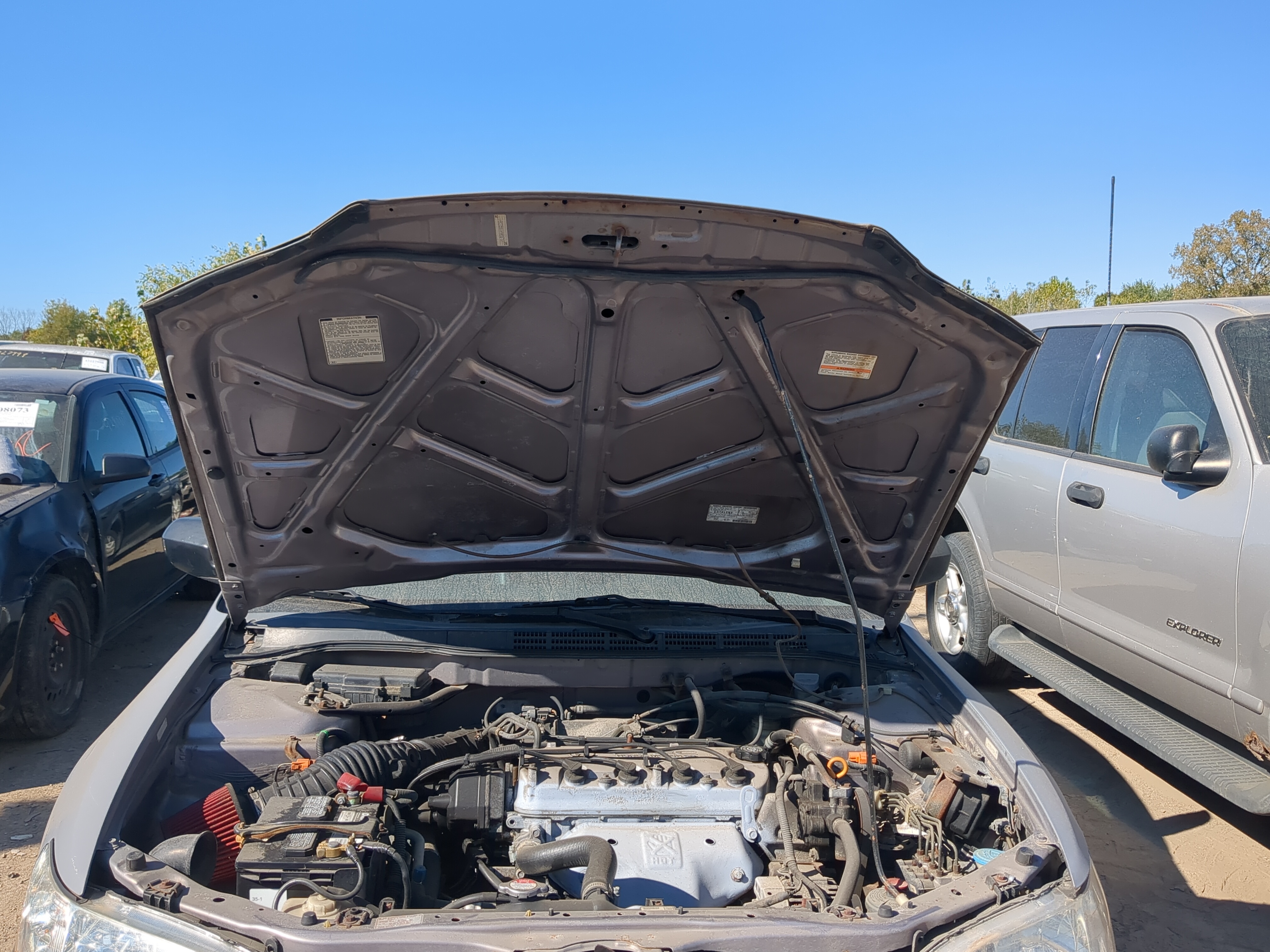 1998-2000 Honda Accord Hood Oem 1191923 - Oemusedautoparts1.com