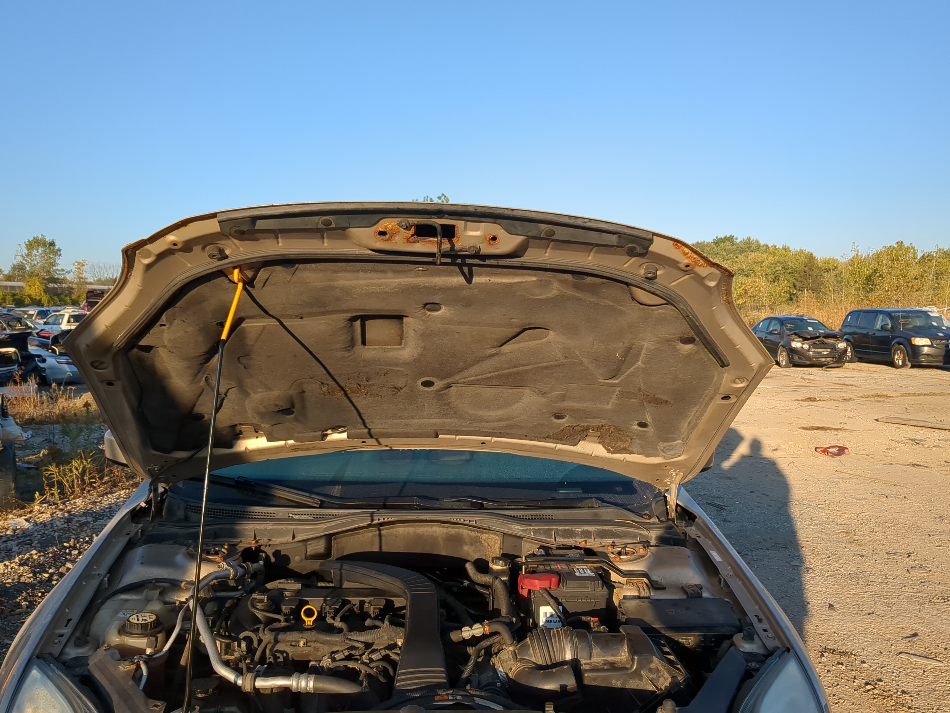 2006-2009 Ford Fusion Hood Oem 1198135 - Oemusedautoparts1.com