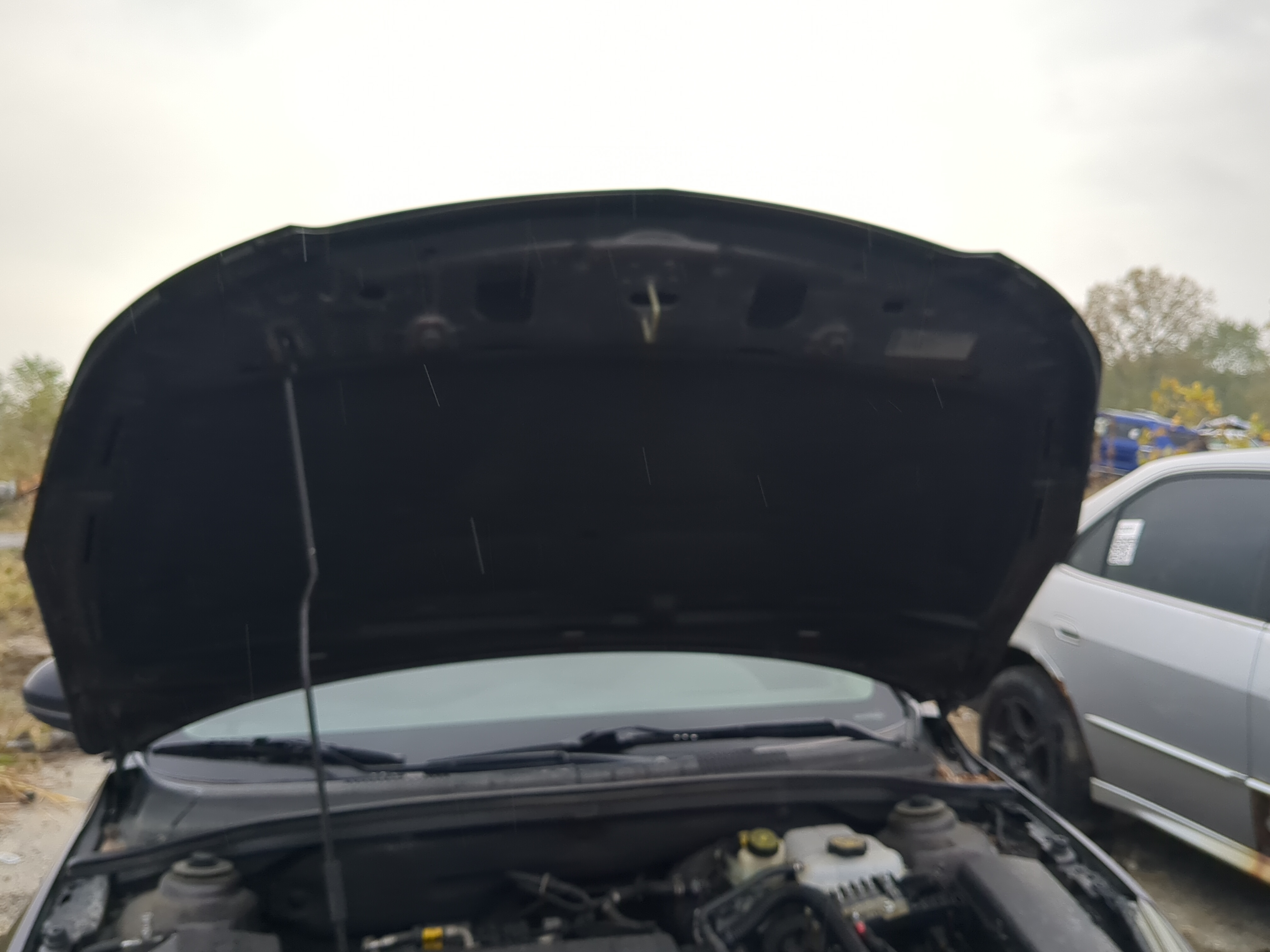 Picture of 2011-2016 Chevrolet Cruze Hood Oem 1199669