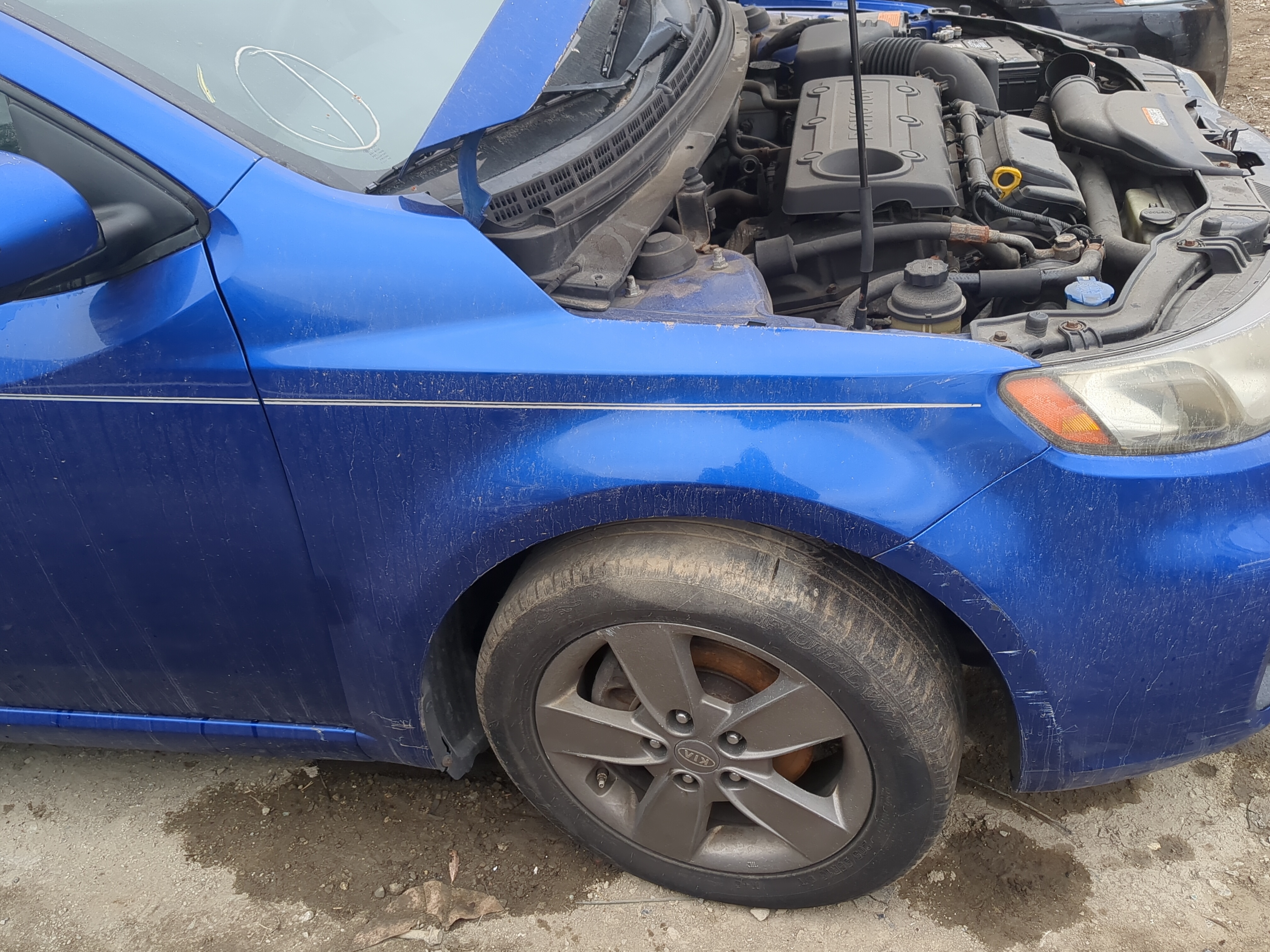 2010-2013 Kia Forte Koup Passenger Fender 1200381 - Oemusedautoparts1.com