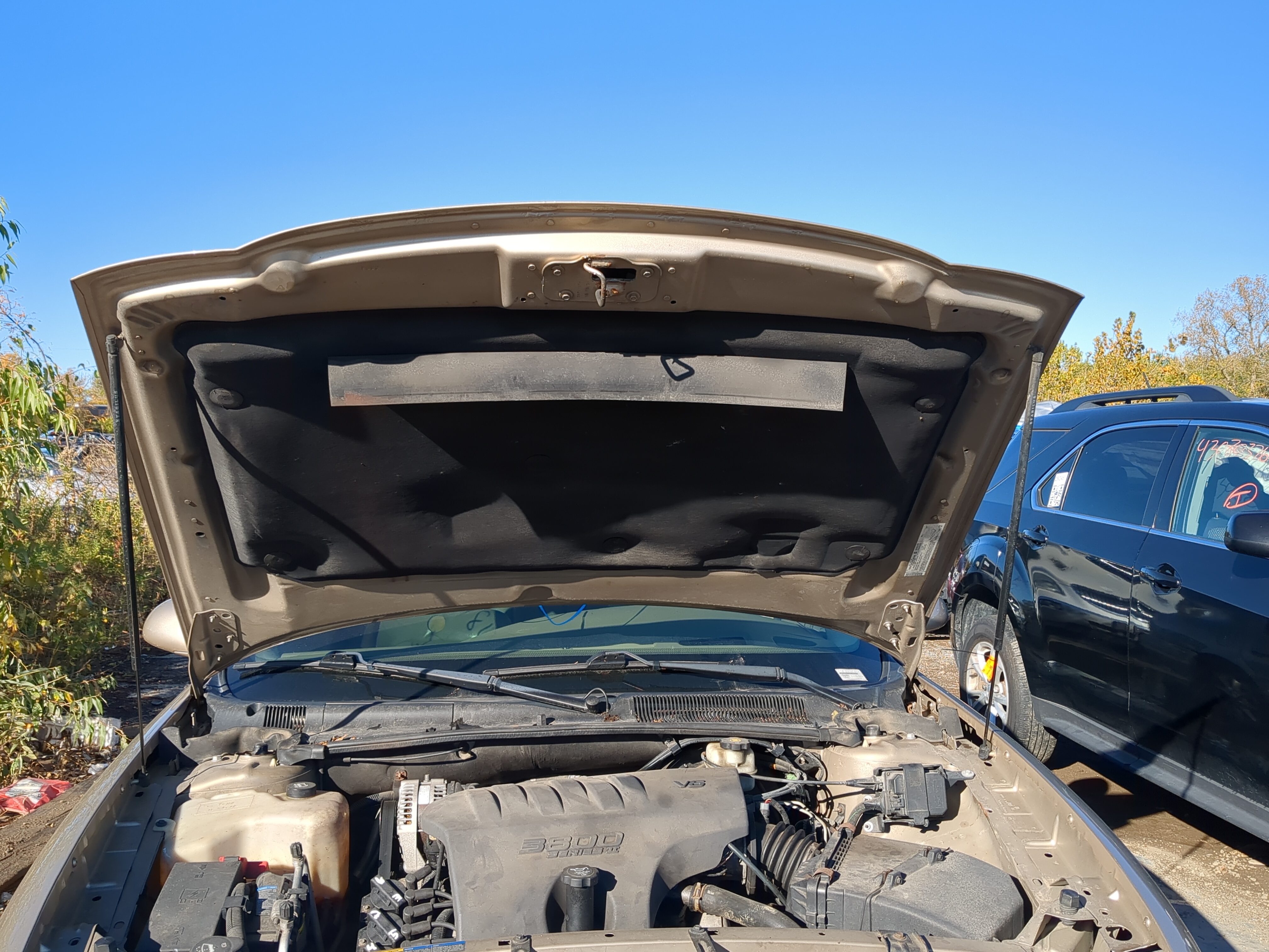 2000-2005 Buick Lesabre Hood Oem 1206933 - Oemusedautoparts1.com