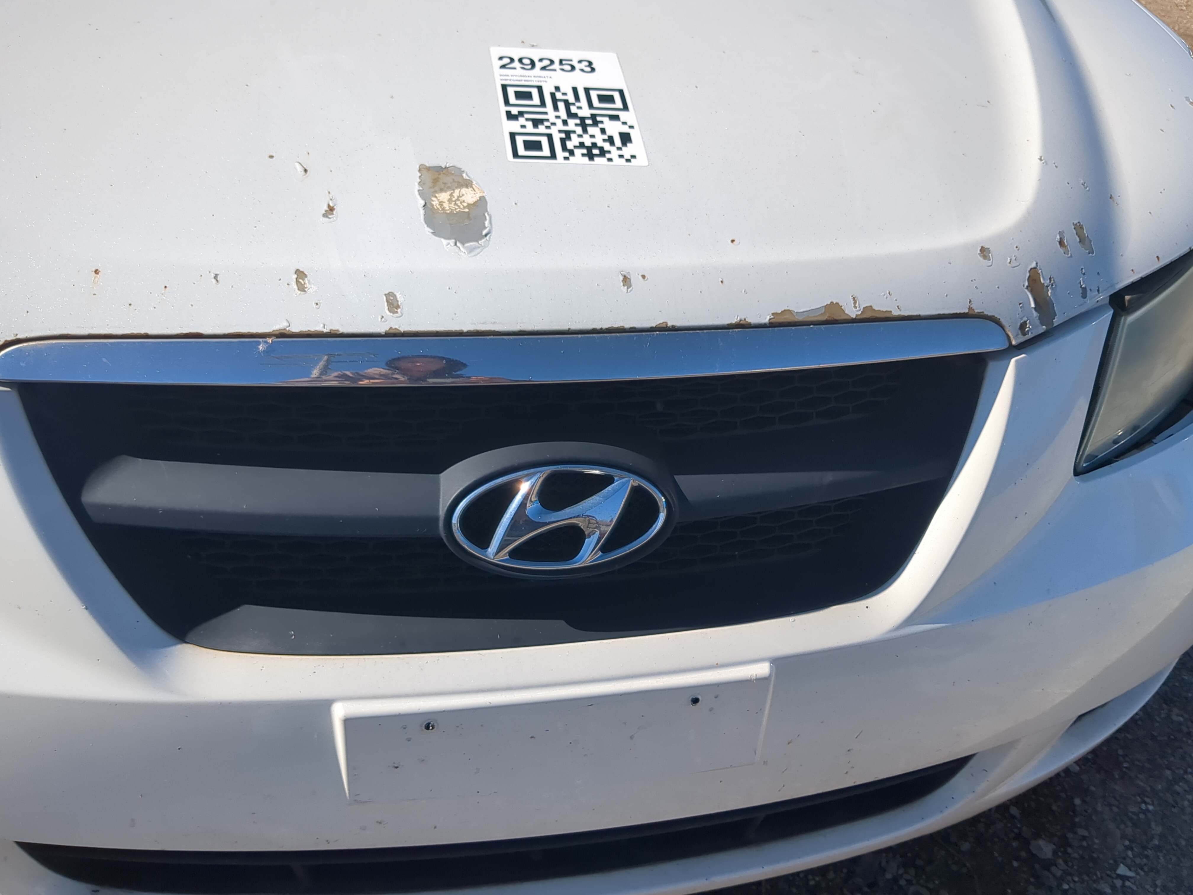 2006-2008 Hyundai Sonata Front Grille Bumper Not Included 1209261 - Oemusedautoparts1.com