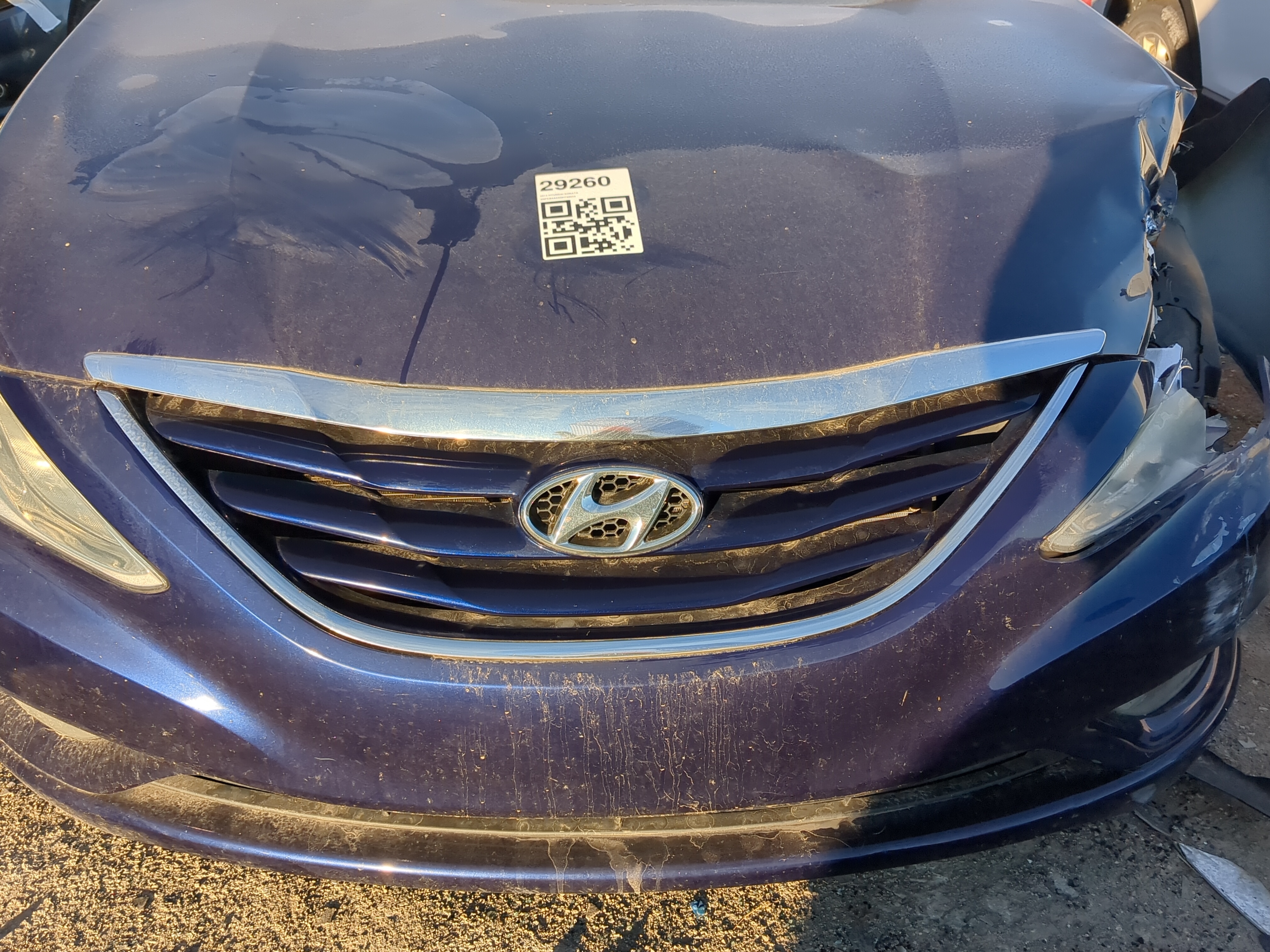 2011-2013 Hyundai Sonata Front Grille Bumper Not Included 1212894 - Oemusedautoparts1.com
