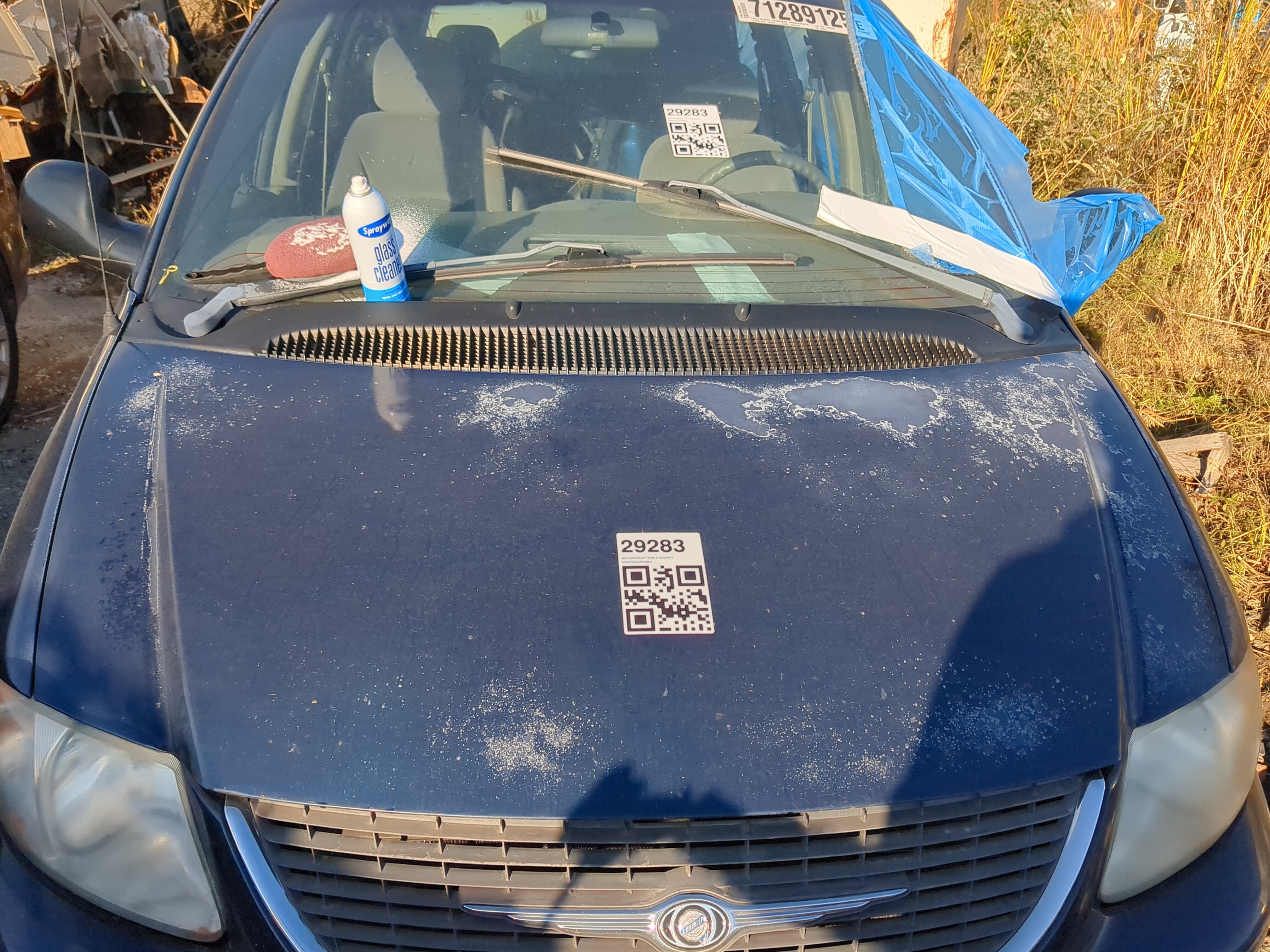 2001-2007 Chrysler Town & Country Hood Oem 1213420 - Oemusedautoparts1.com