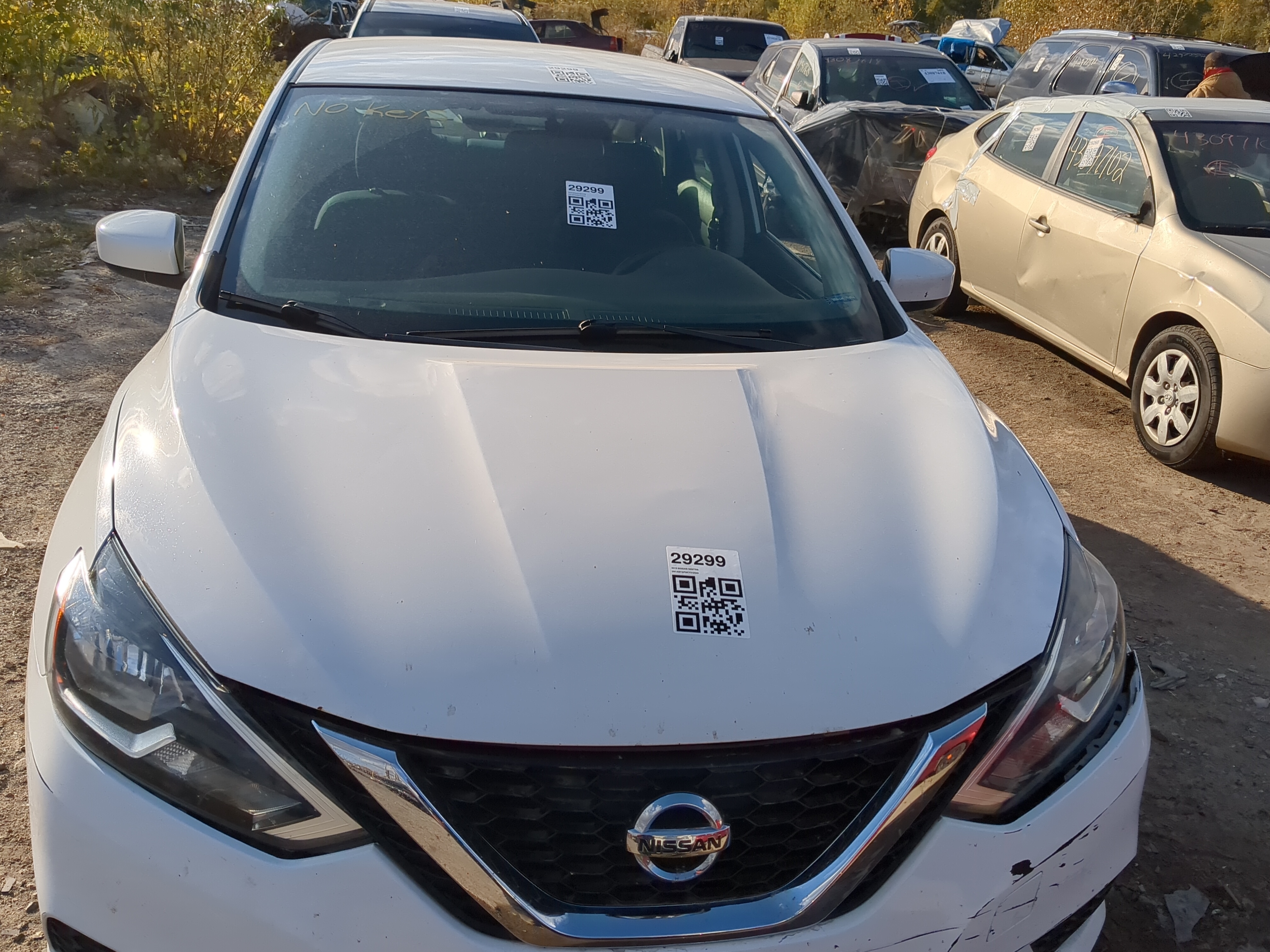 2016-2019 Nissan Sentra Hood Oem 1215378 - Oemusedautoparts1.com