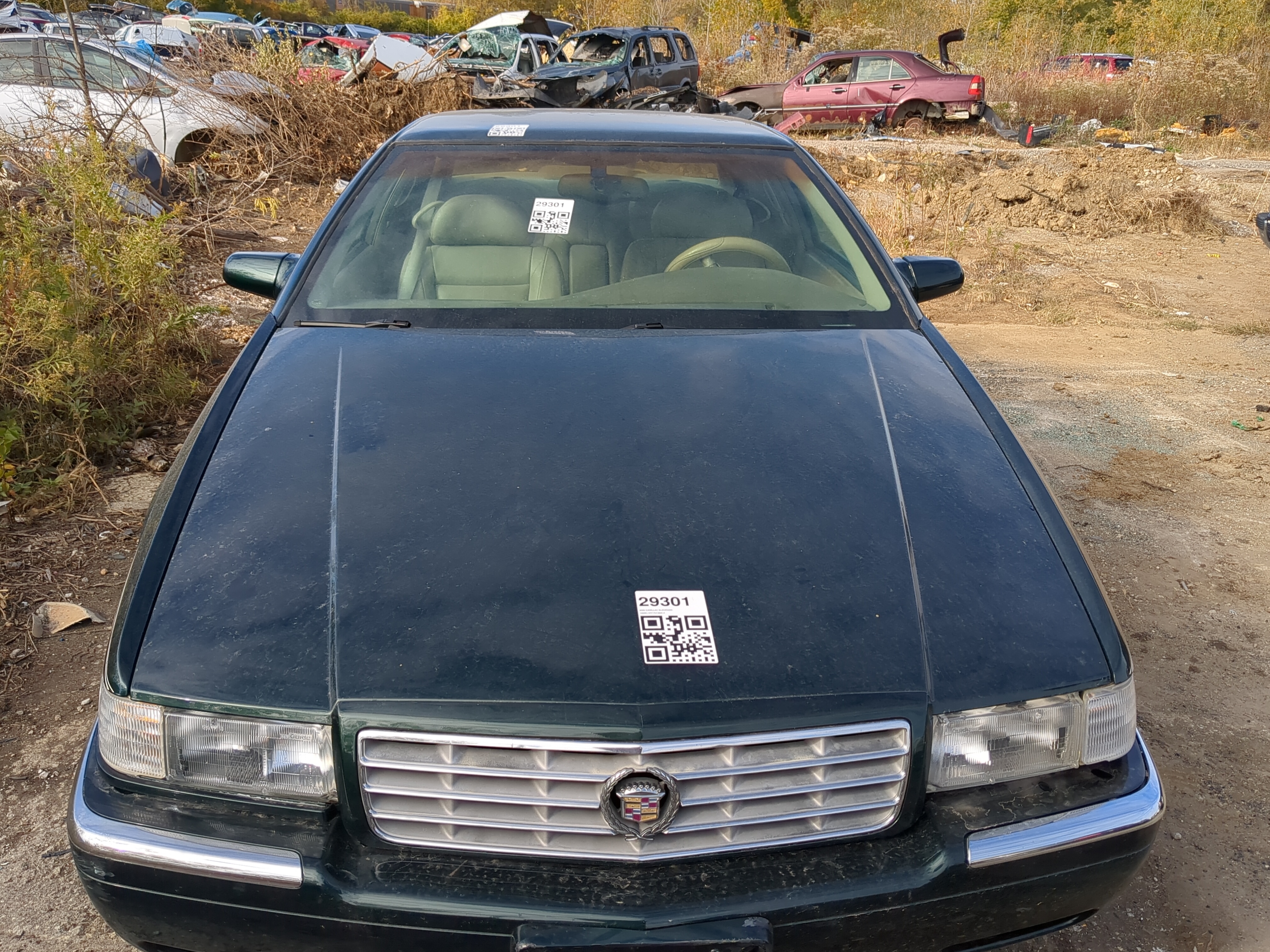 1993-2002 Cadillac Eldorado Hood Oem 1216685 - Oemusedautoparts1.com