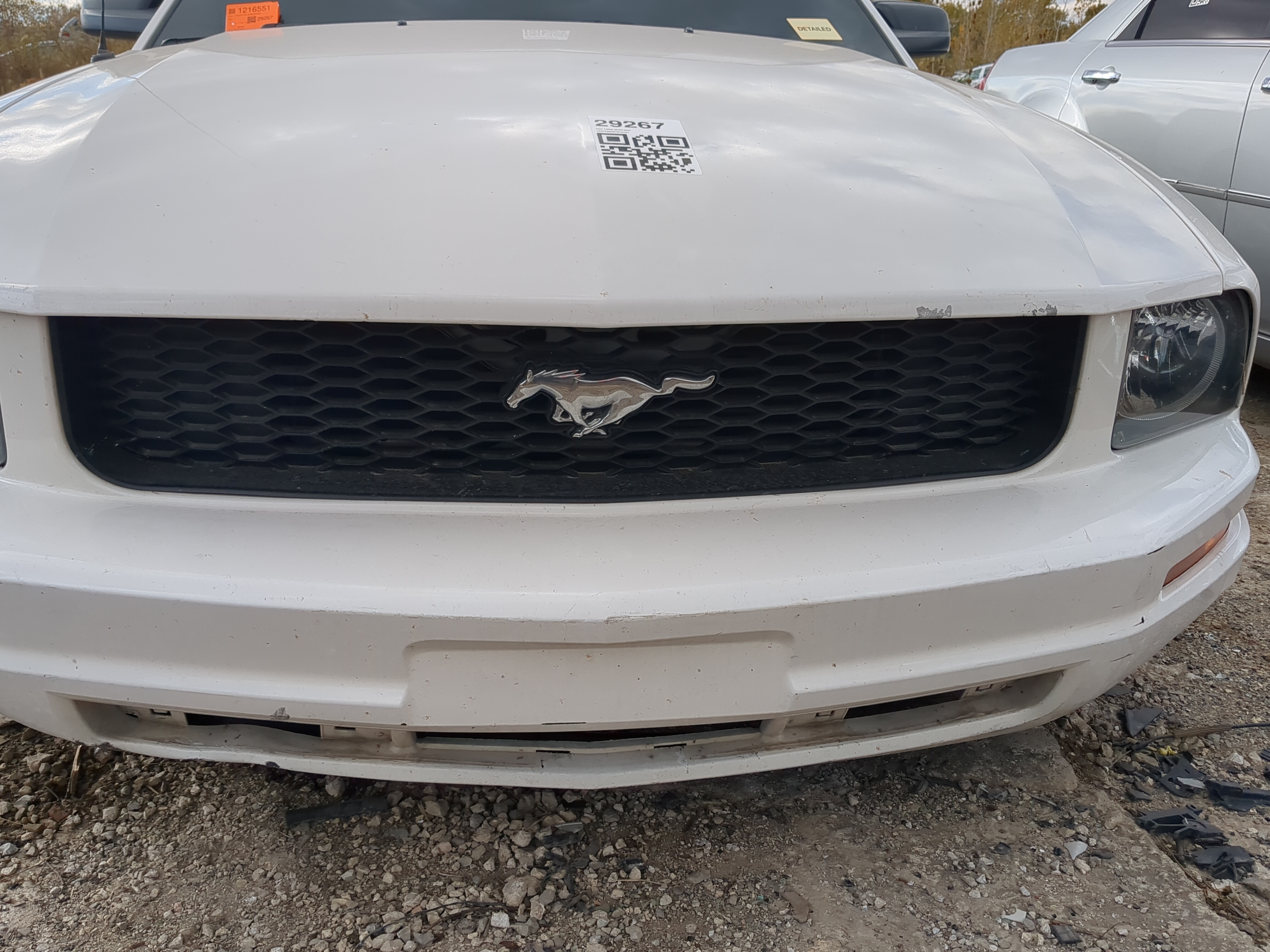 2005-2009 Ford Mustang Front Grille Bumper Not Included 1217170 - Oemusedautoparts1.com