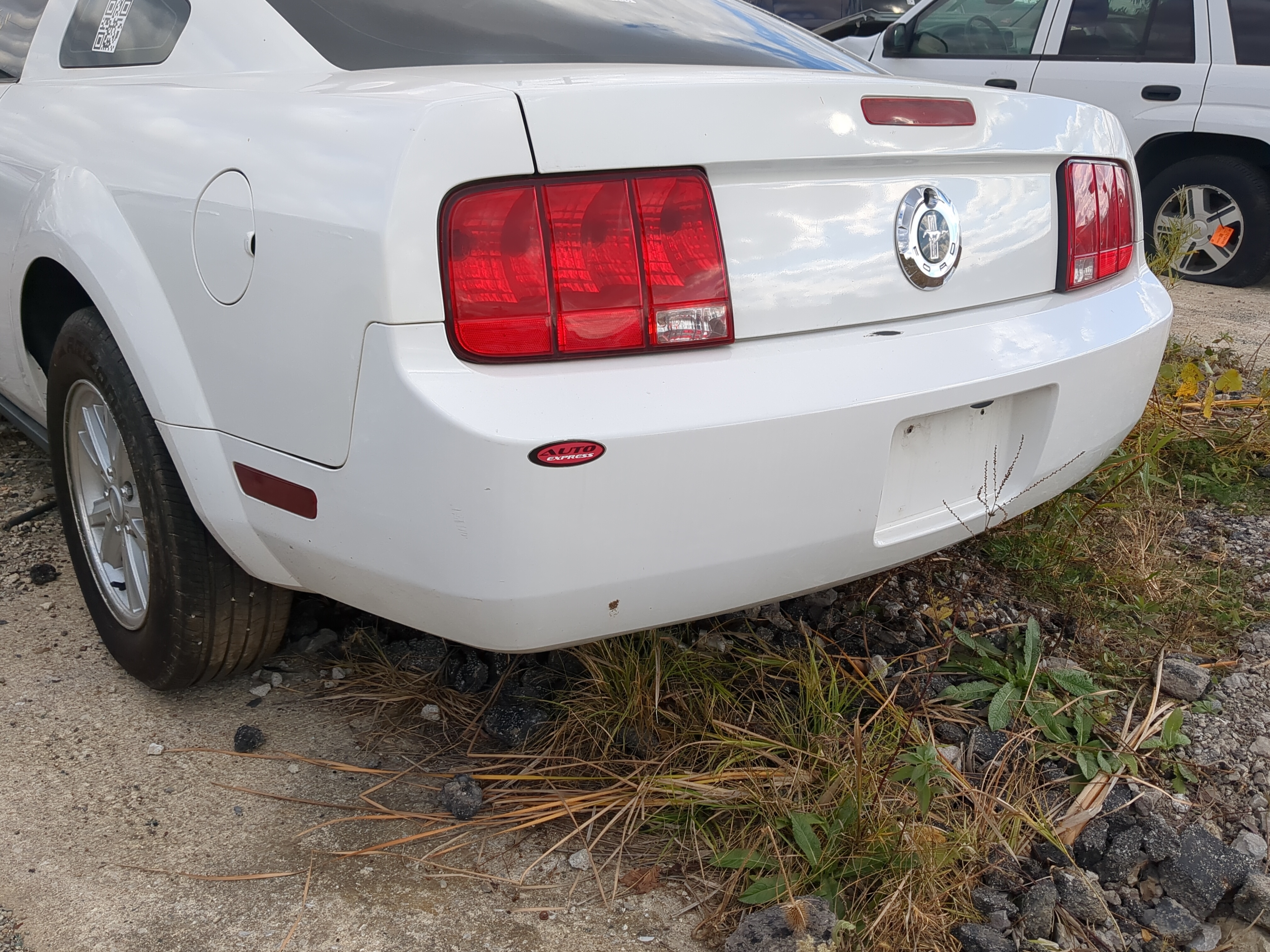 2005-2009 Ford Mustang Rear Bumper Assembly Oem 1217251 - Oemusedautoparts1.com