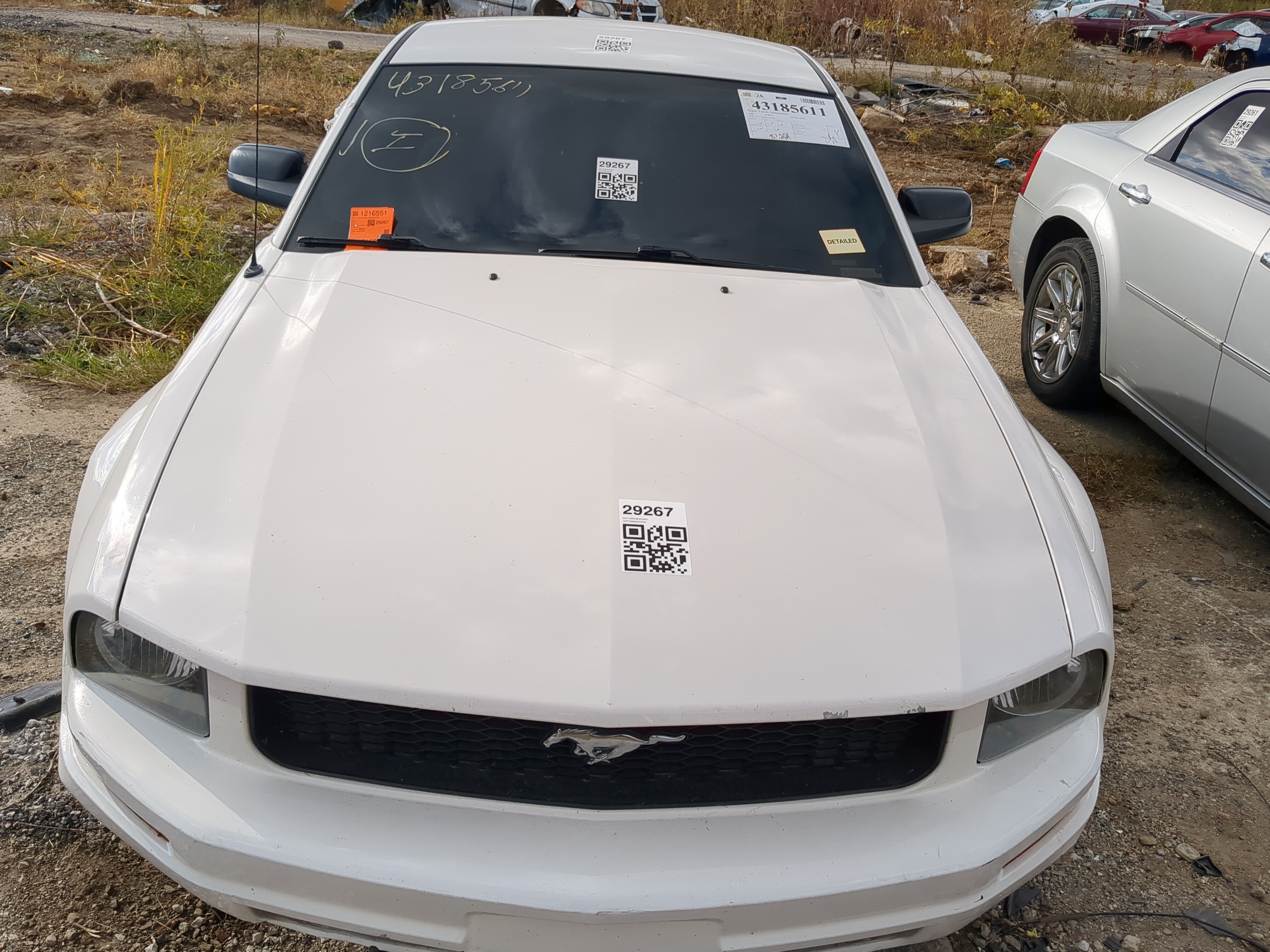 2005-2009 Ford Mustang Hood Oem 1217258 - Oemusedautoparts1.com
