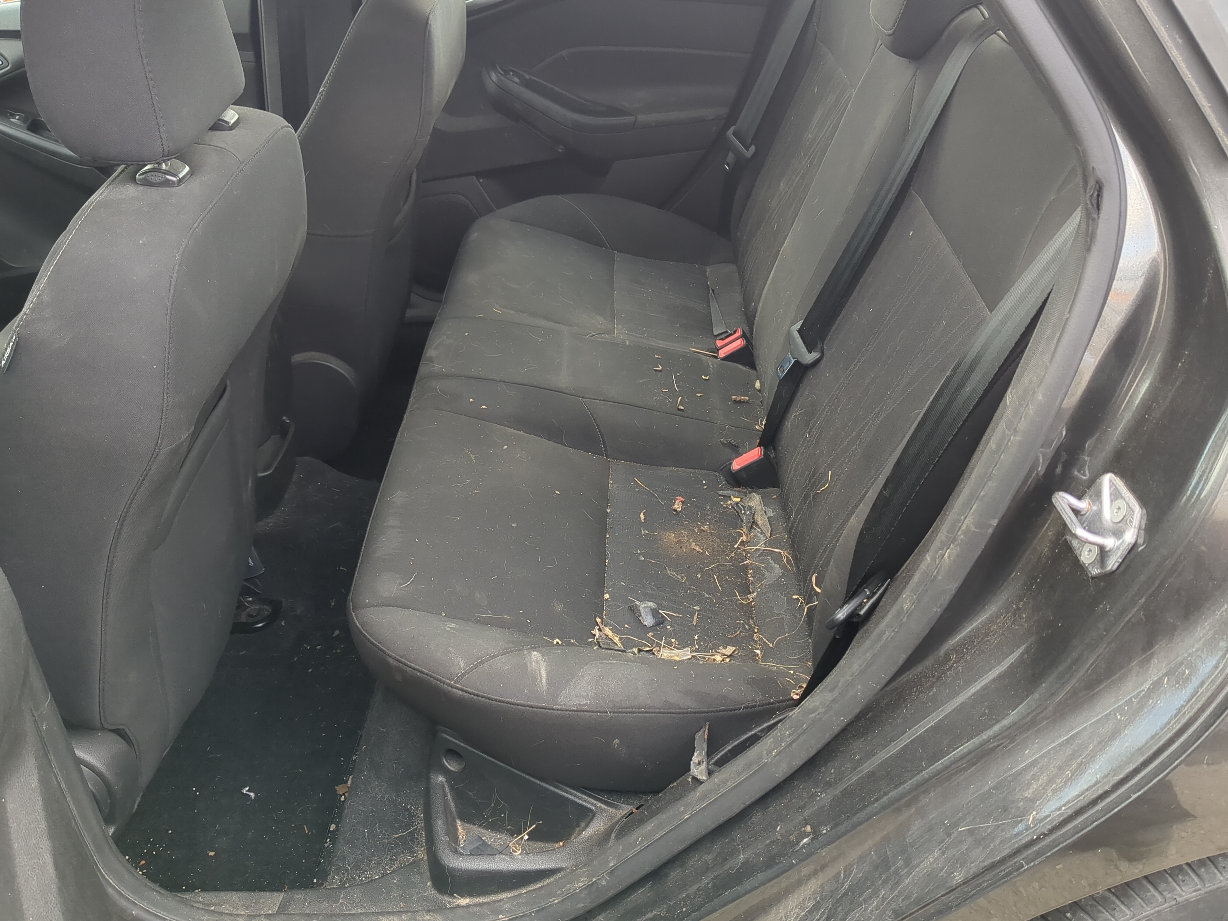 2015 Ford Focus Rear Seat Oem 1217784 - Oemusedautoparts1.com