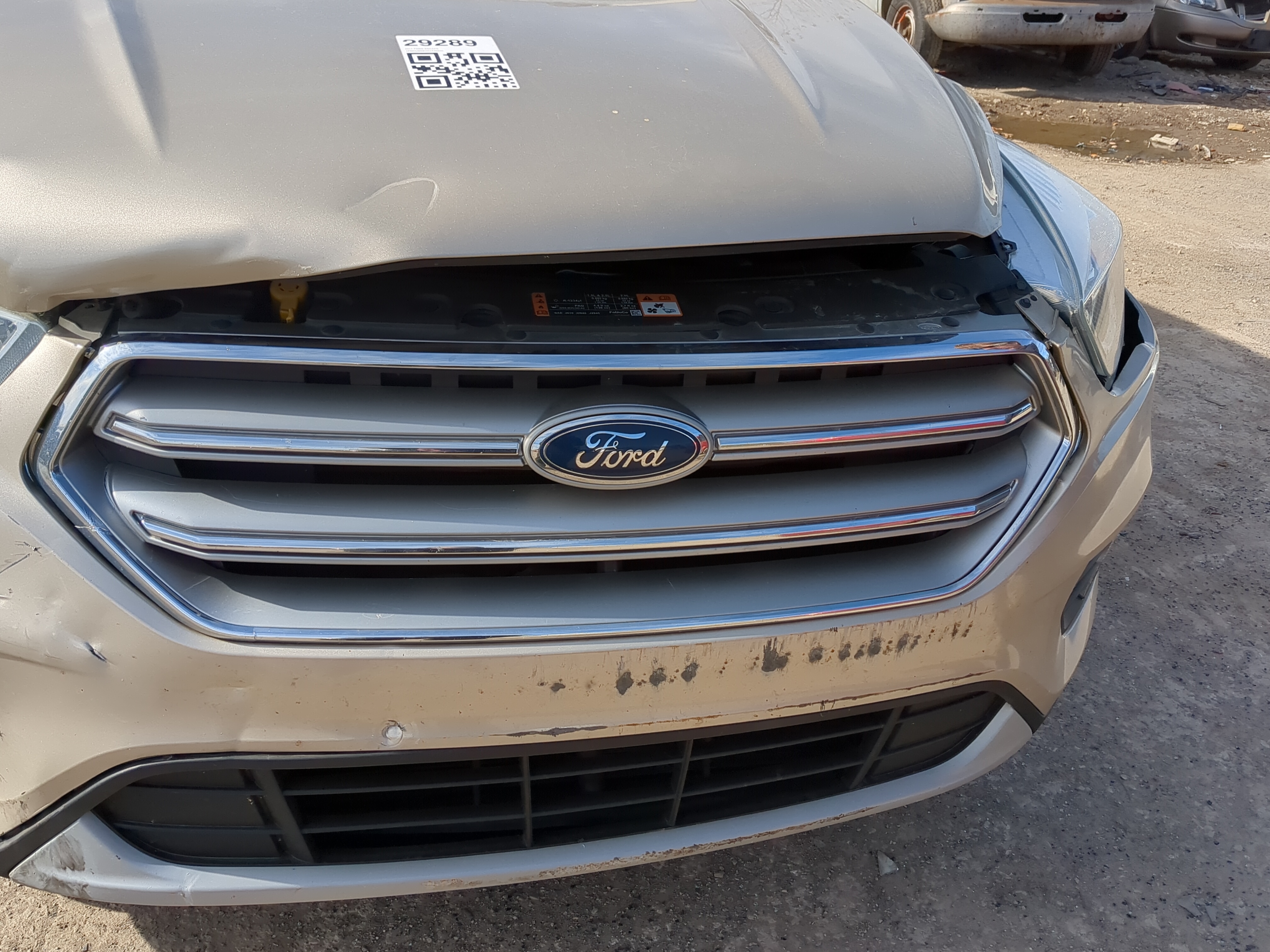 2017-2019 Ford Escape Front Grille Bumper Not Included 1219972 - Oemusedautoparts1.com