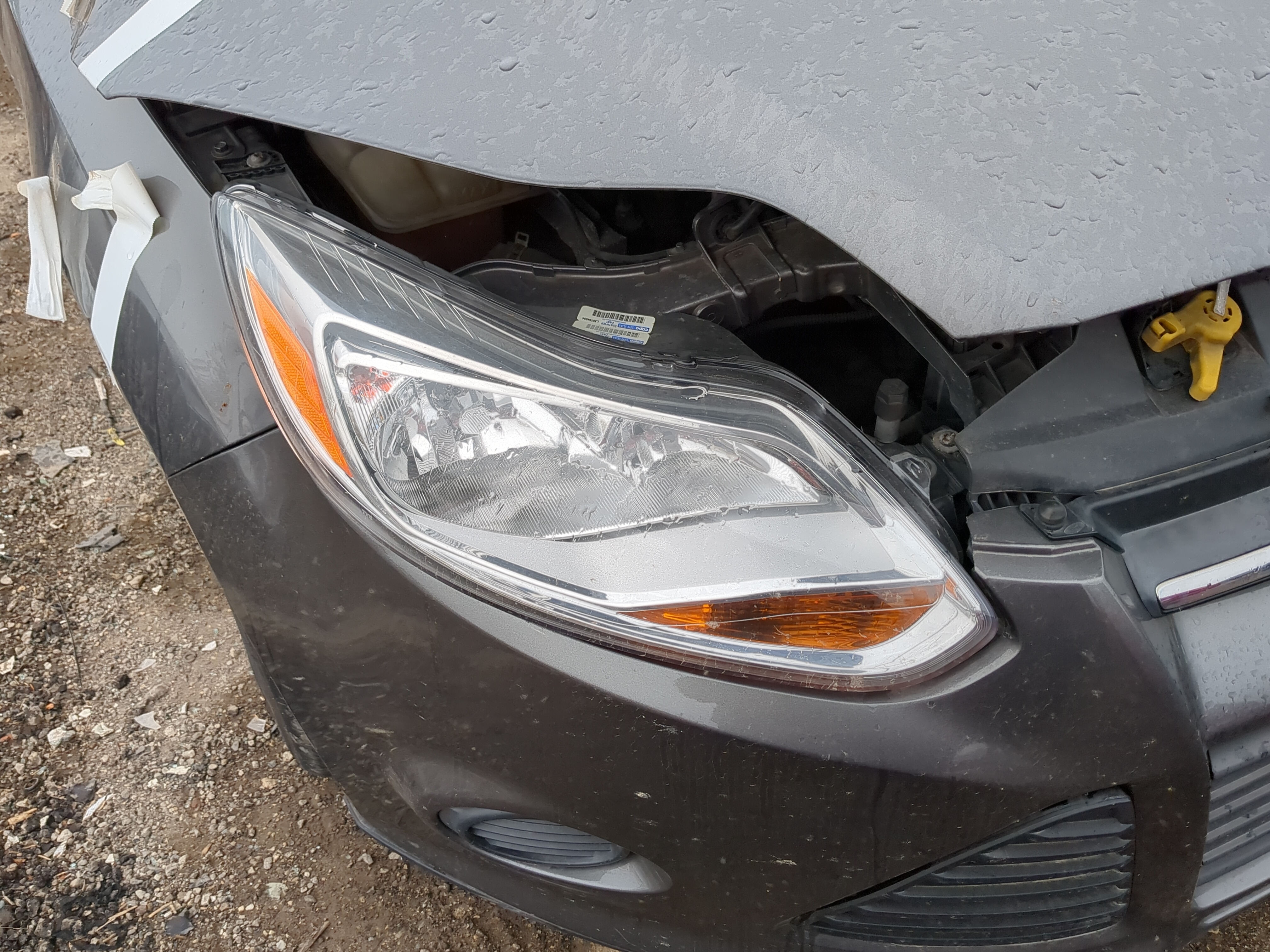 2012-2014 Ford Focus Passenger Right Oem Head Light Headlight Lamp 1224020 - Oemusedautoparts1.com