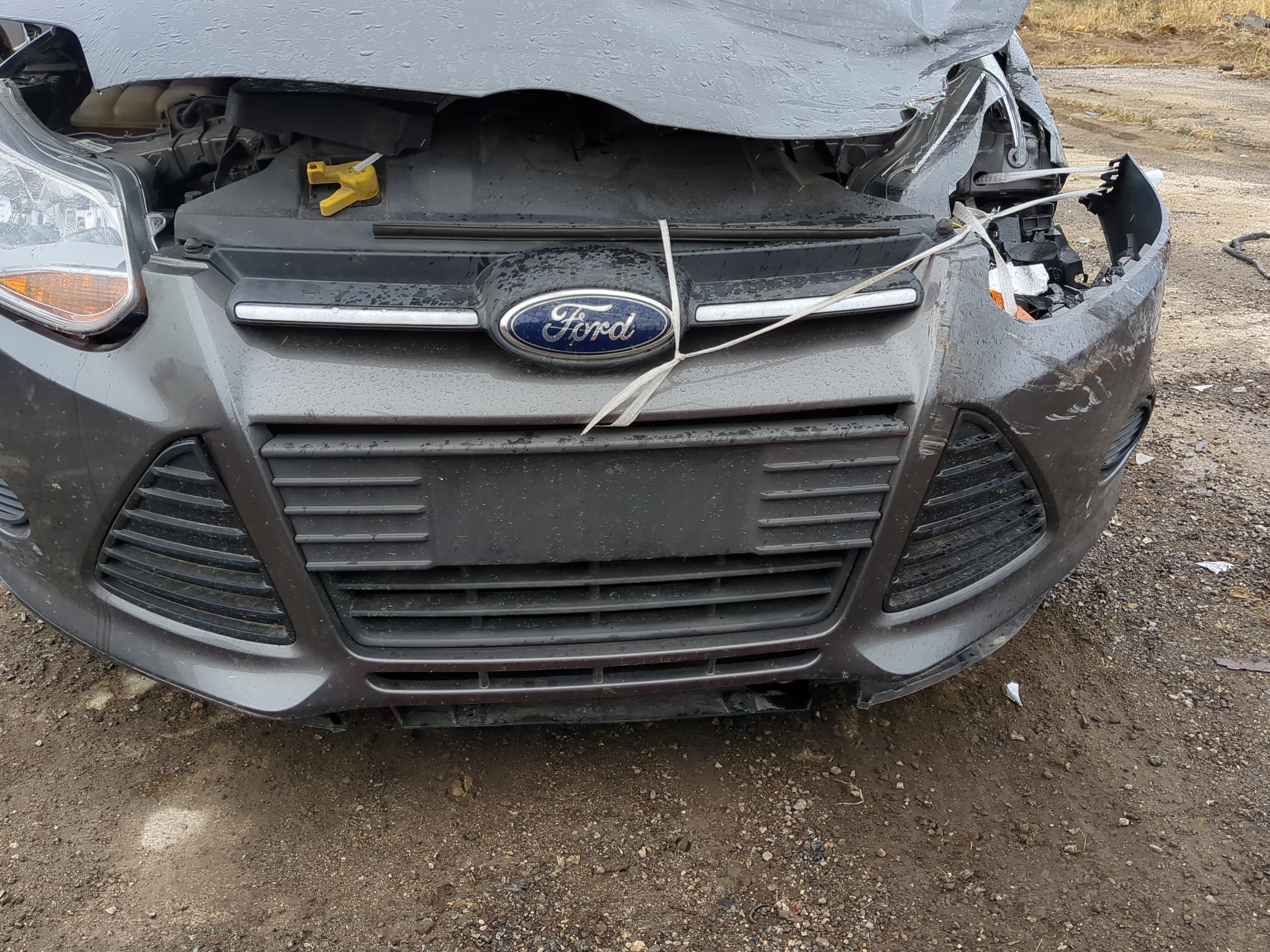 2012-2014 Ford Focus Front Grille Bumper Not Included 1224112 - Oemusedautoparts1.com