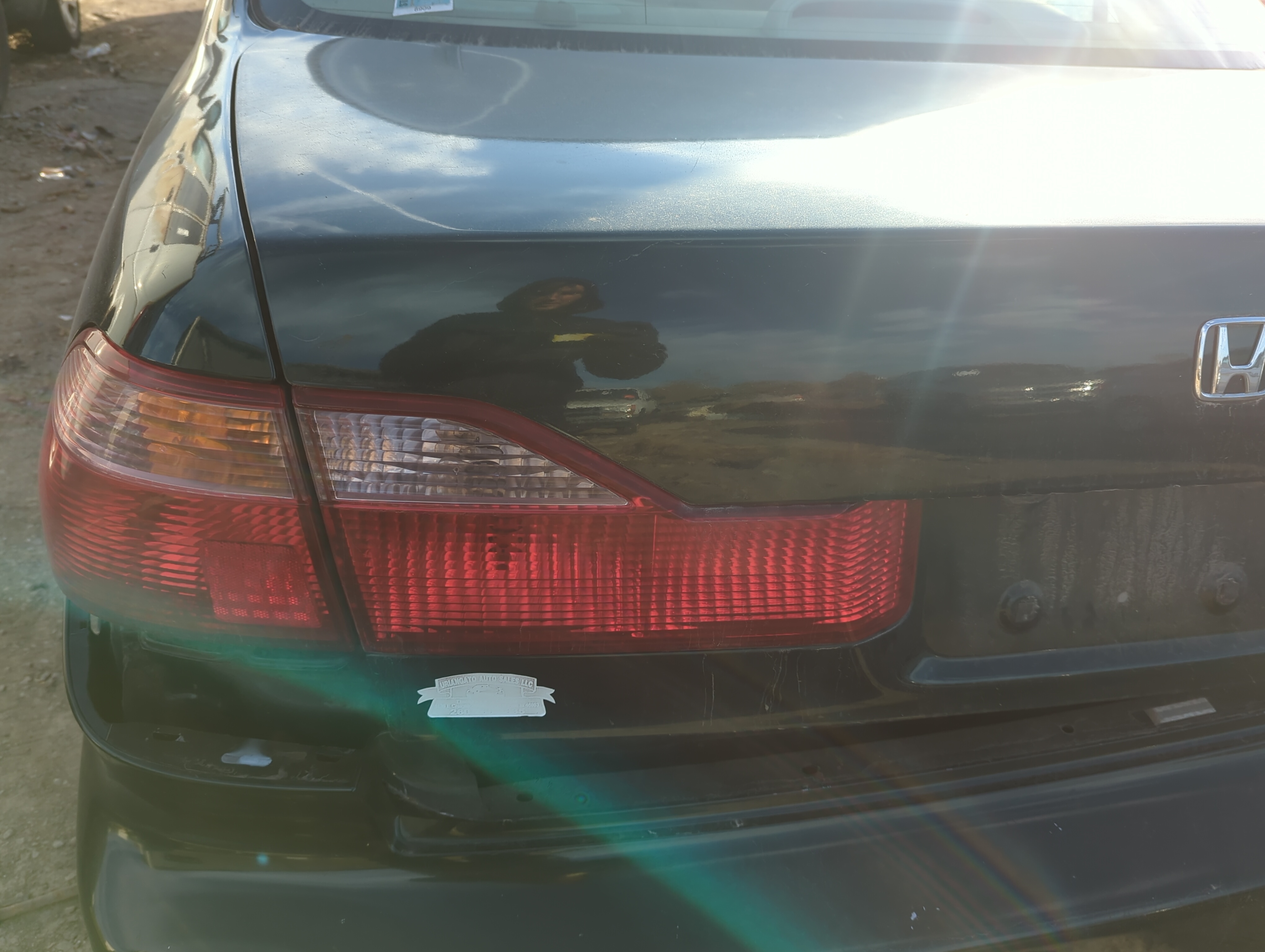 1998 Honda Accord Driver Left Side Tail Light Taillight Deck Lid Mounted 1224870 - Oemusedautoparts1.com