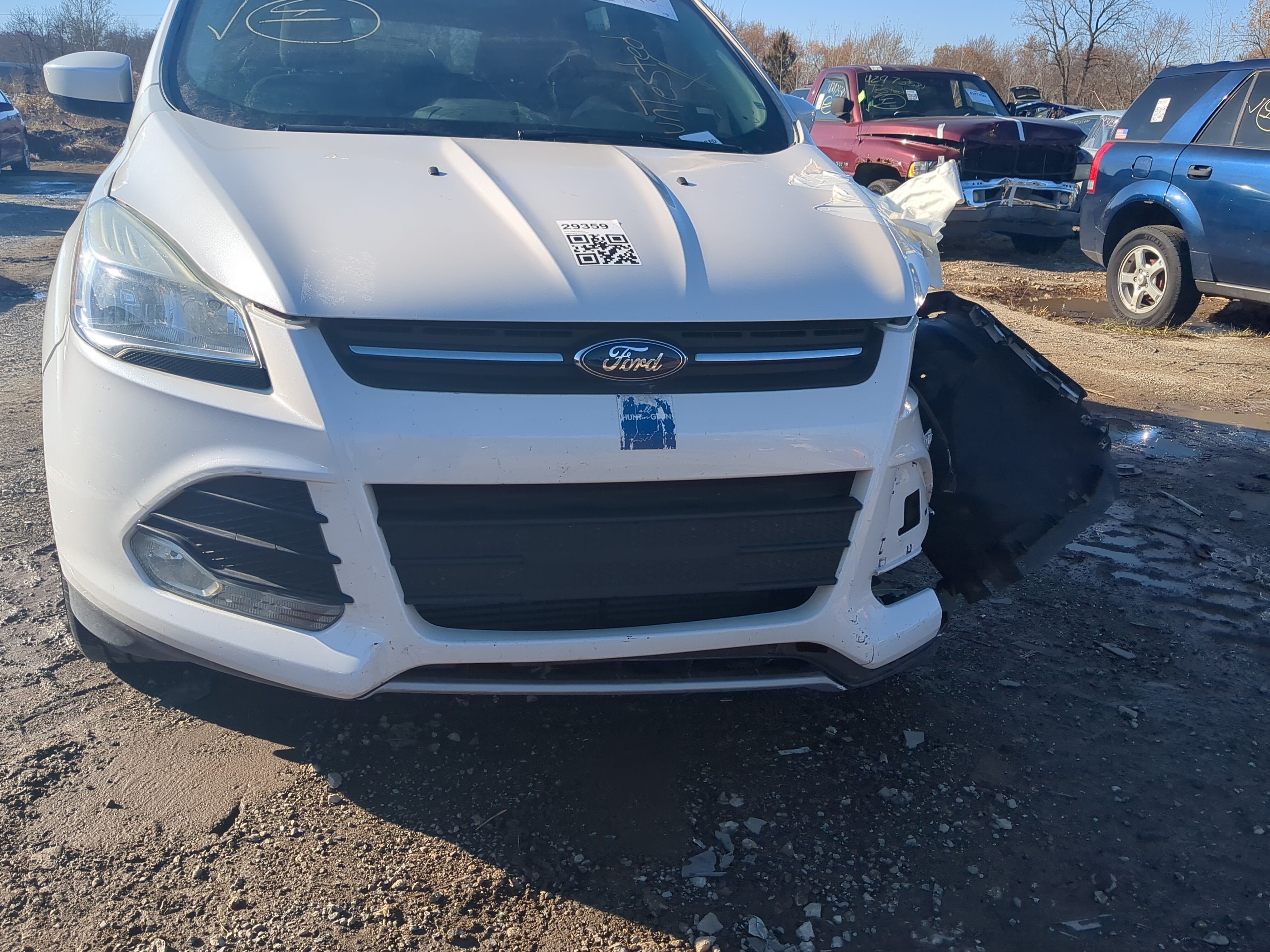Picture of 2013-2016 Ford Escape Front Grille Bumper Not Included 1234462