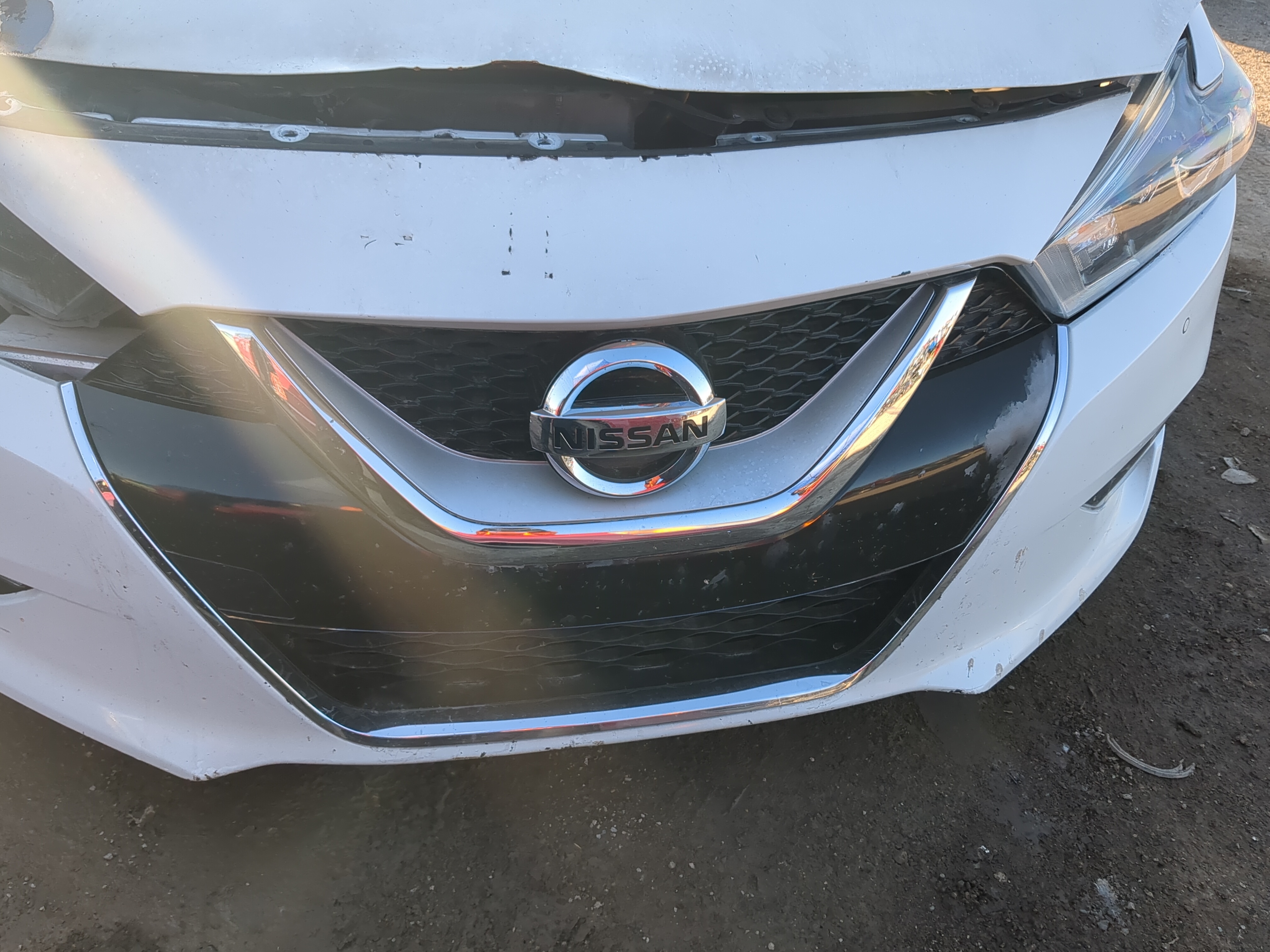 2016-2017 Nissan Maxima Front Grille Bumper Not Included 1239720 - Oemusedautoparts1.com