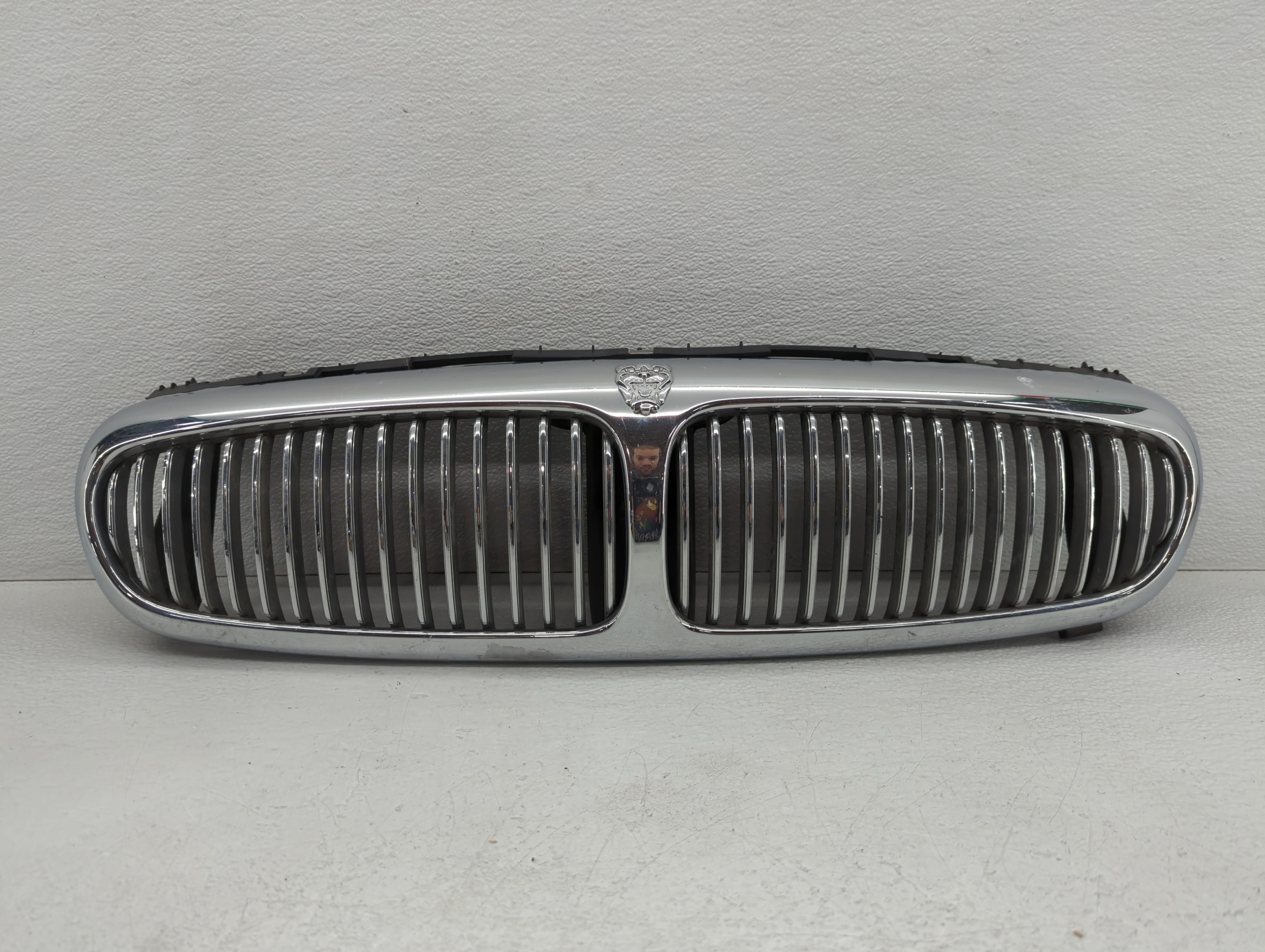 2004-2008 Jaguar X-type Front Bumper Grille Cover 765105 - Oemusedautoparts1.com
