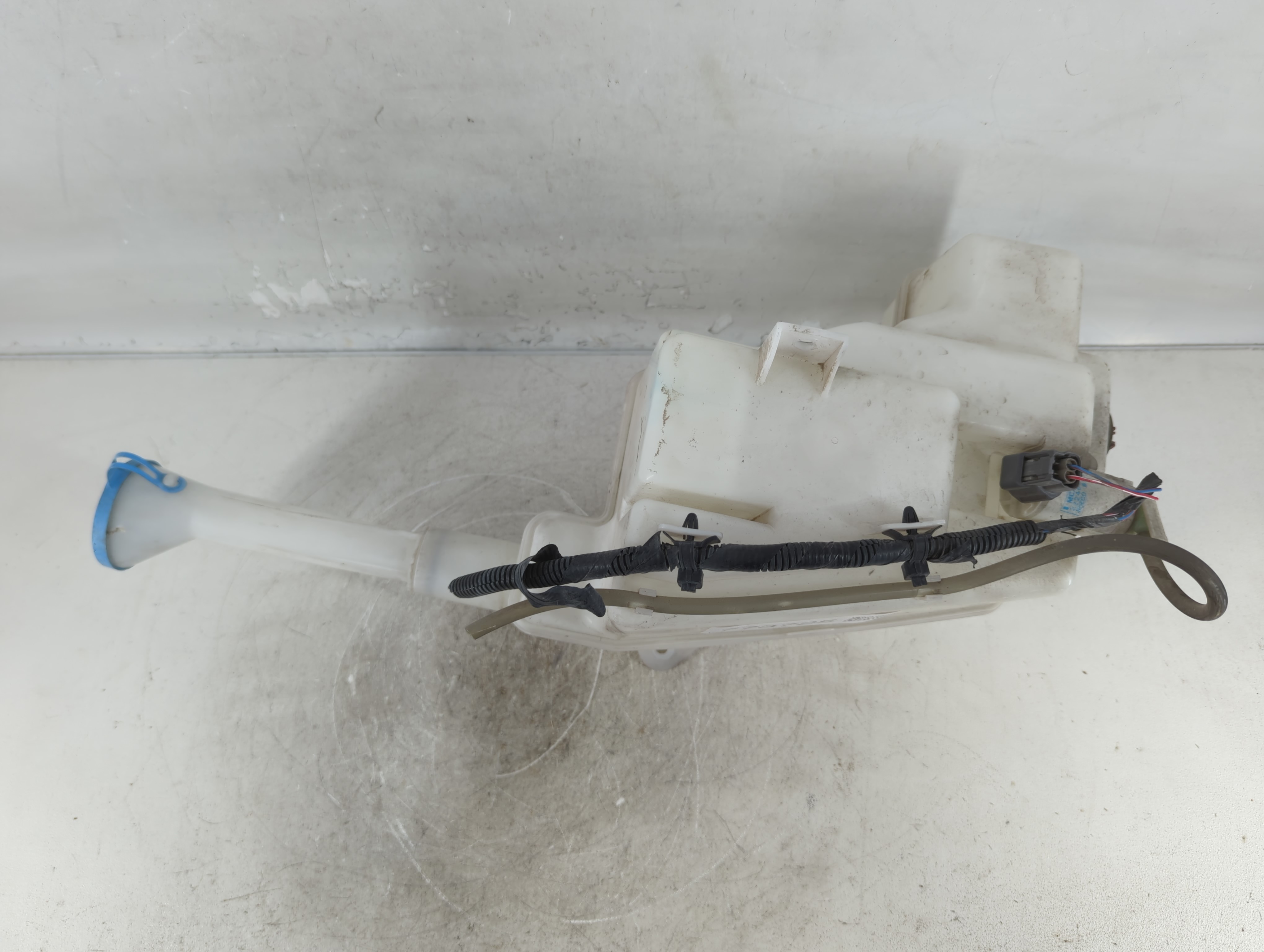 2004-2008 Nissan Maxima Windshield Washer Fluid Reservoir Bottle Oem 773725 - Oemusedautoparts1.com