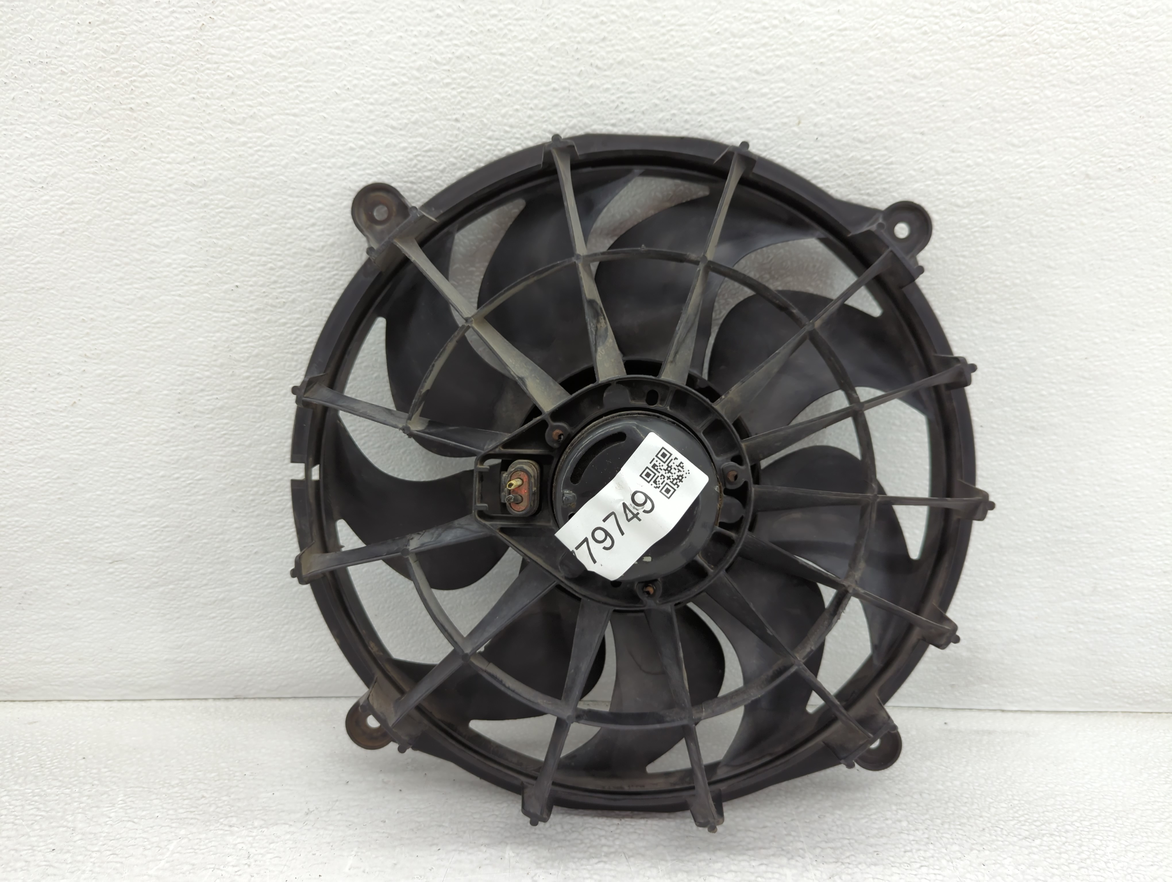 1997-2005 Buick Park Avenue Electric Radiator Cooling Fan Motor Assembly 779749 - Oemusedautoparts1.com