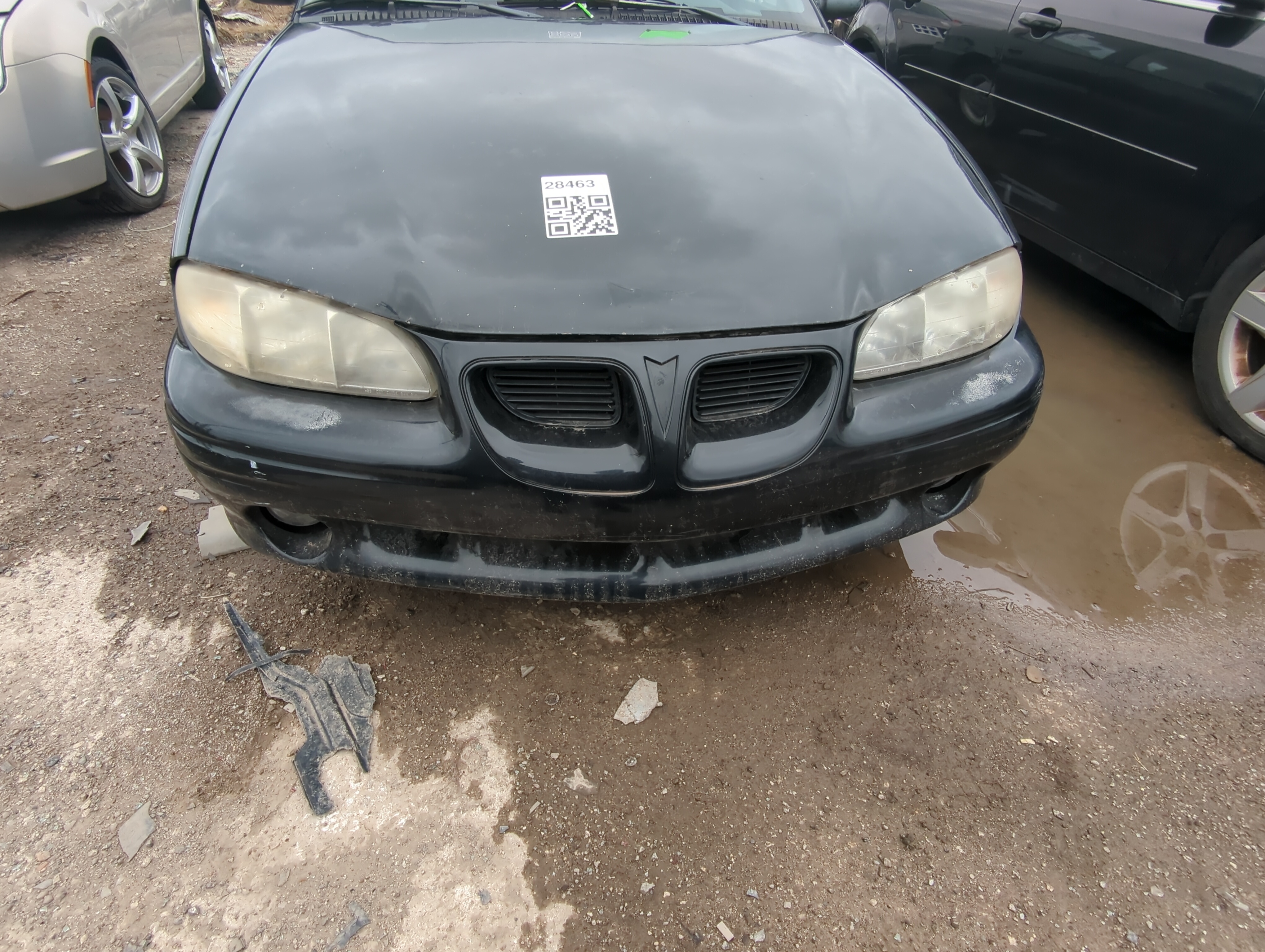 Picture of 1996-1998 Pontiac Grand Am Front Bumper Grille 822052