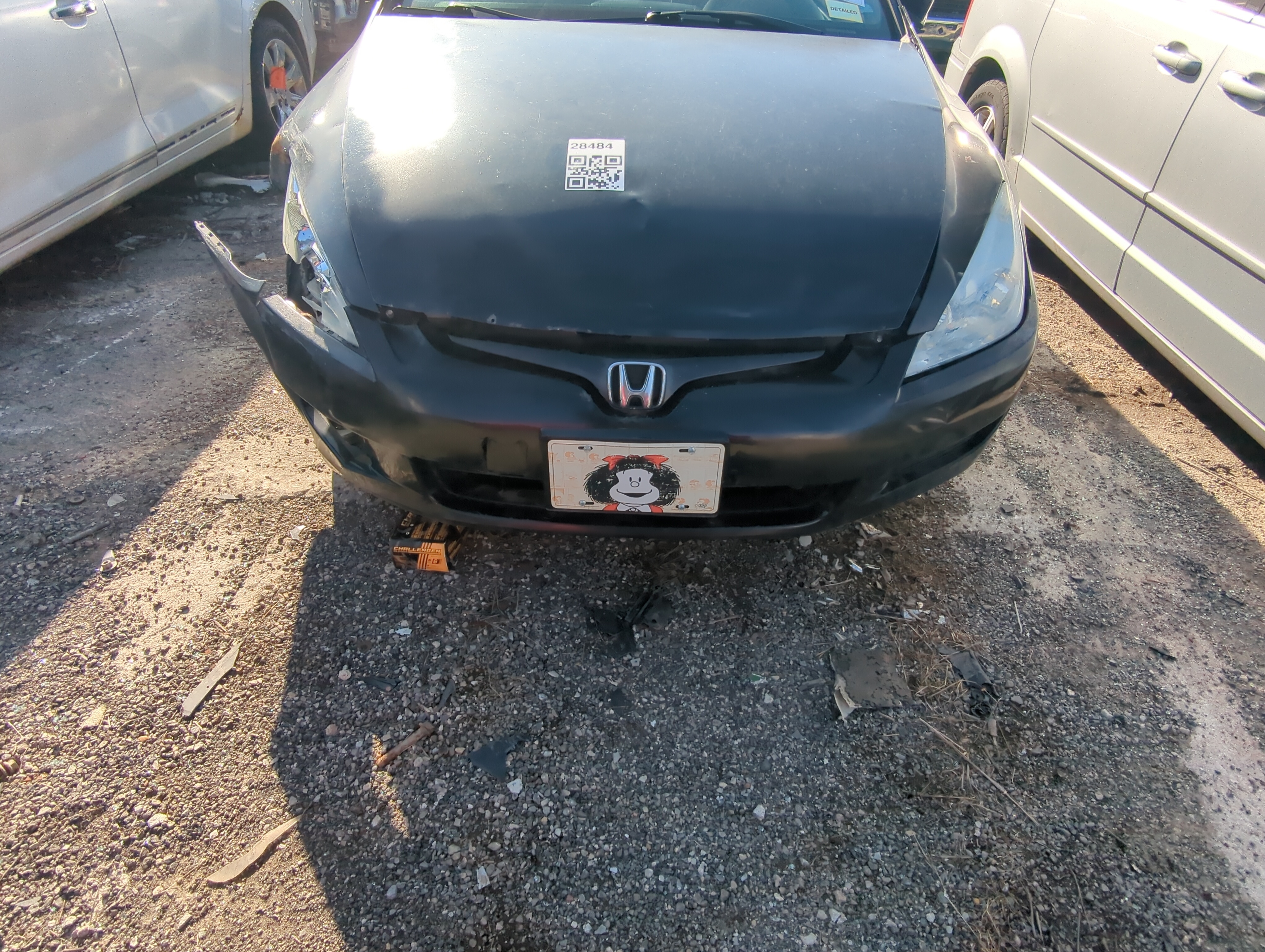 Picture of 2003-2005 Honda Accord Front Bumper Grille 824371