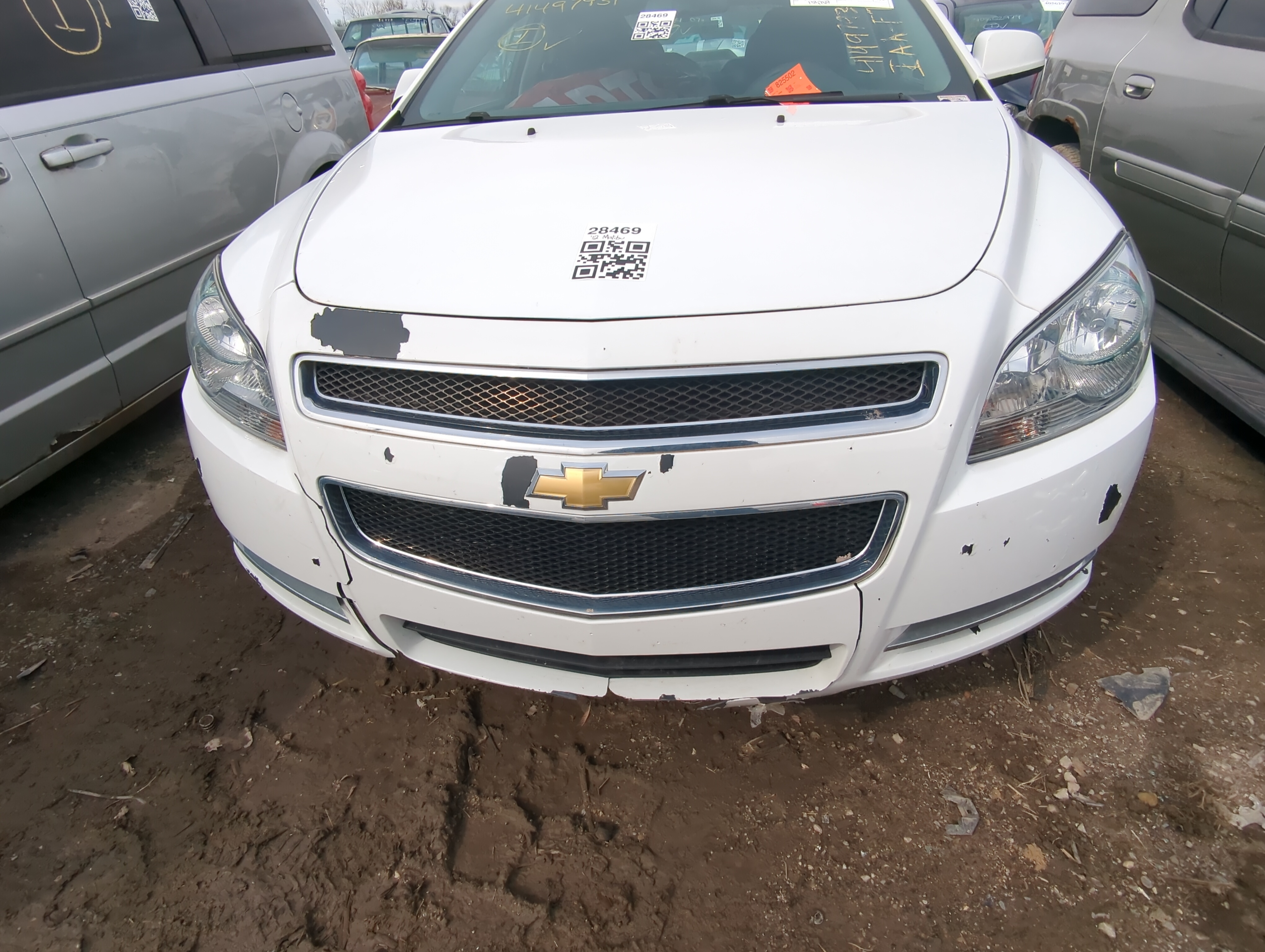 Picture of 2008-2012 Chevrolet Malibu Front Bumper Grille 828153