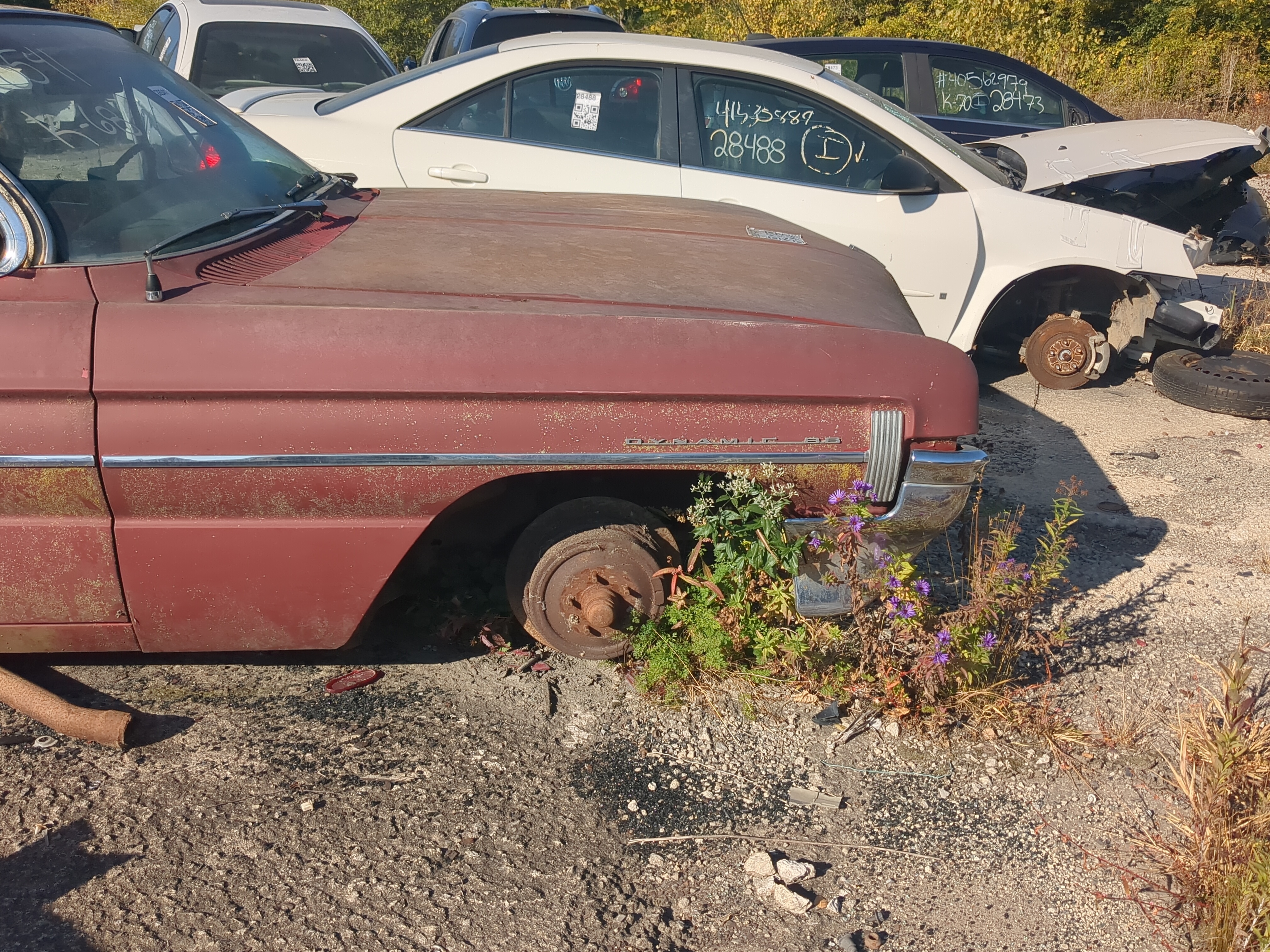 1961 Oldsmobile 88 Dynamic Base Passenger Fender 828698 - Oemusedautoparts1.com