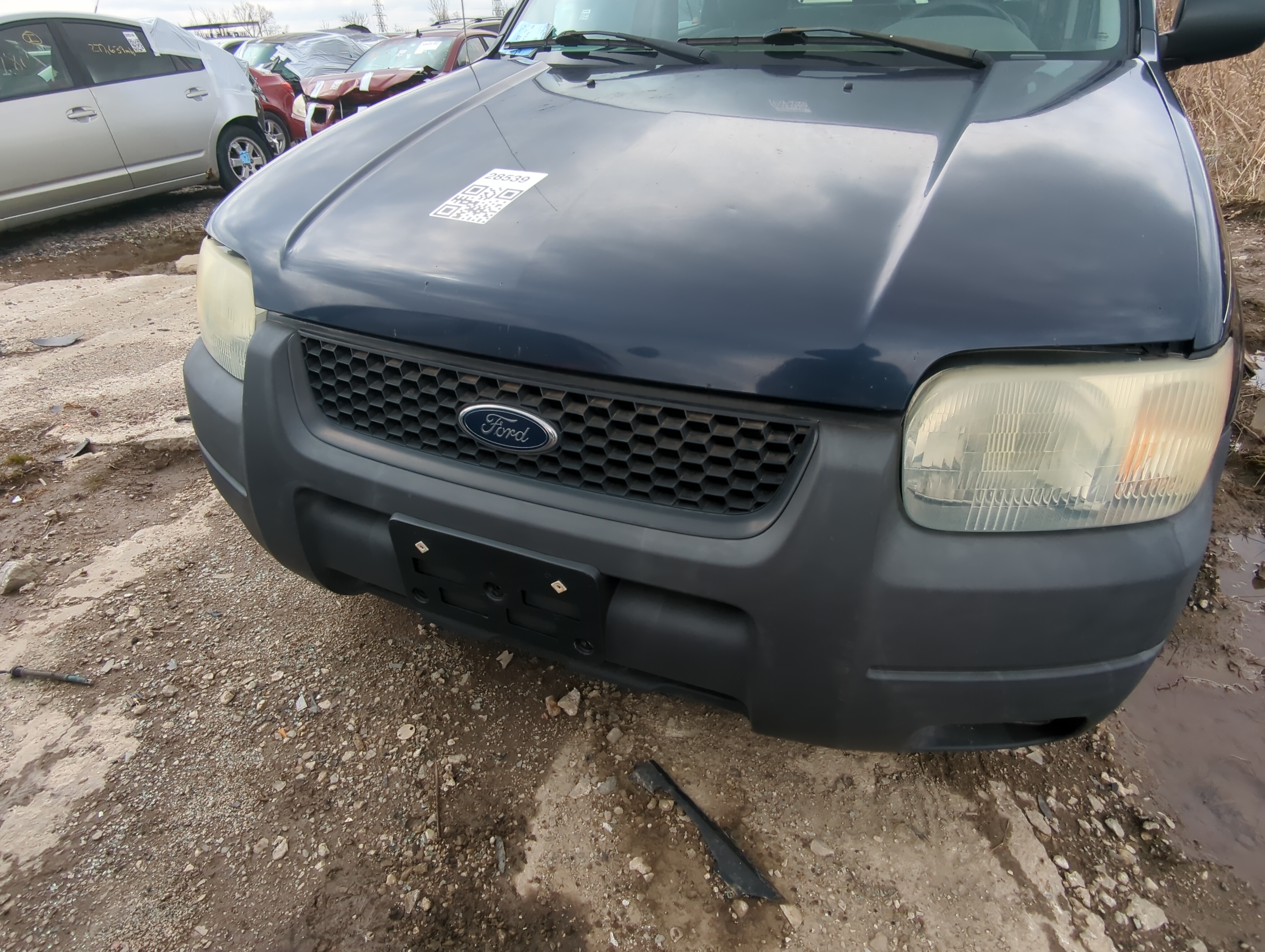 Picture of 2001-2004 Ford Escape Front Bumper Grille 840142