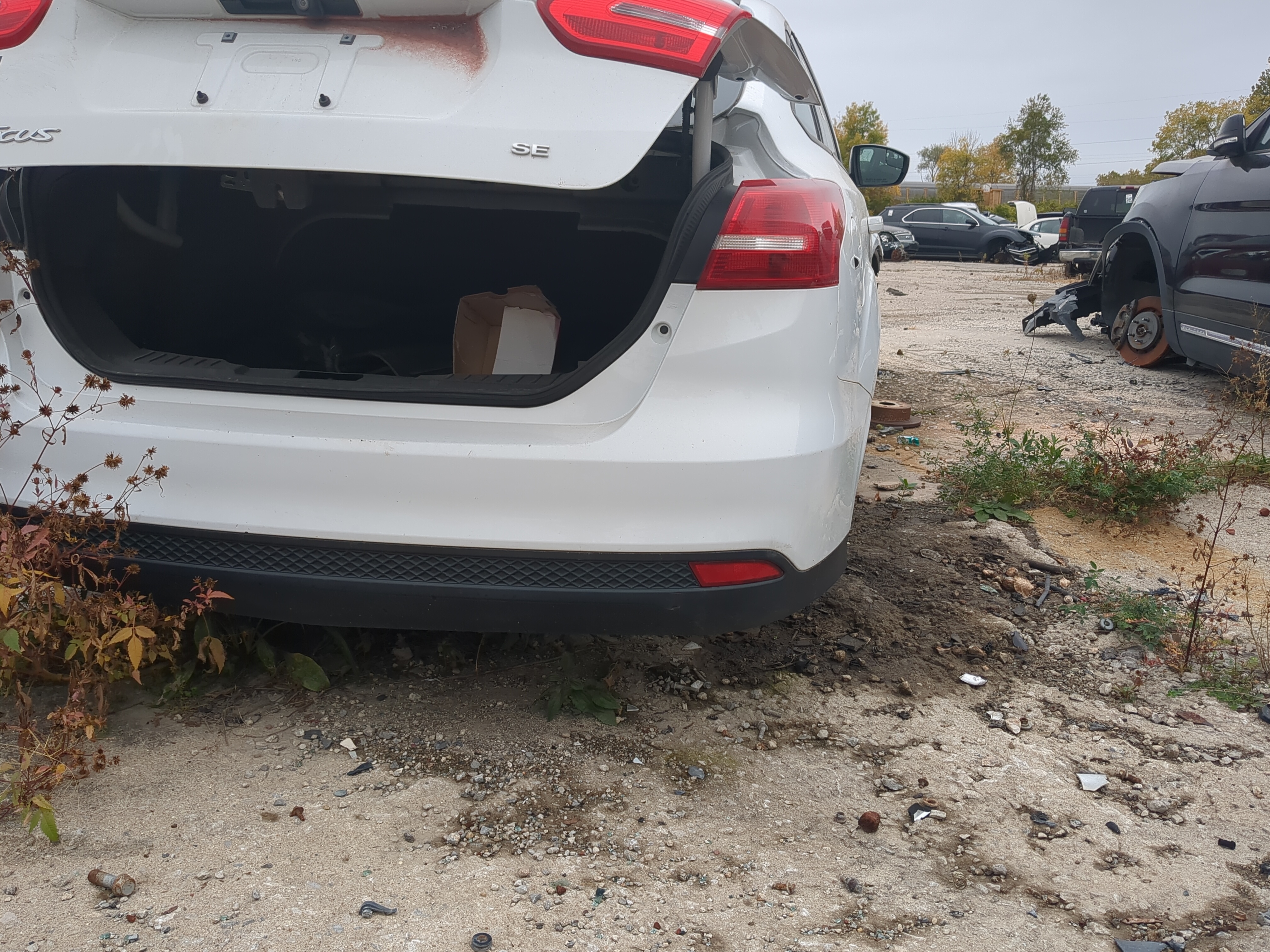 2015-2018 Ford Focus Rear Bumper Assembly Oem 841501 - Oemusedautoparts1.com