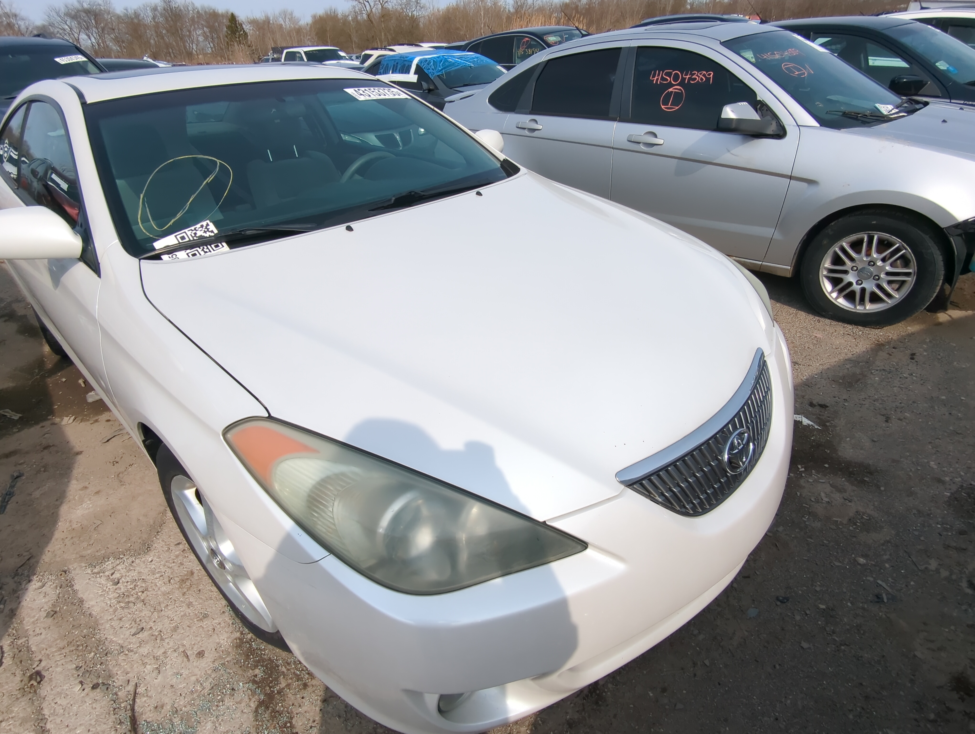 2006 Toyota Solara Hood Oem 846131 - Oemusedautoparts1.com