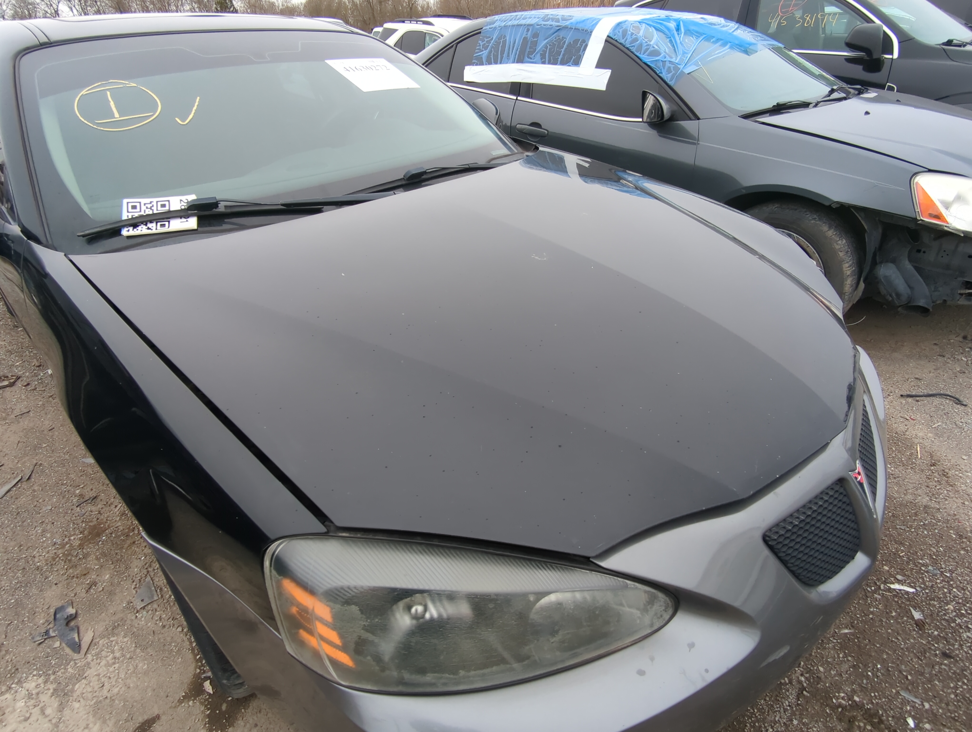 2008 Pontiac Grand Prix Hood Oem 847109 - Oemusedautoparts1.com
