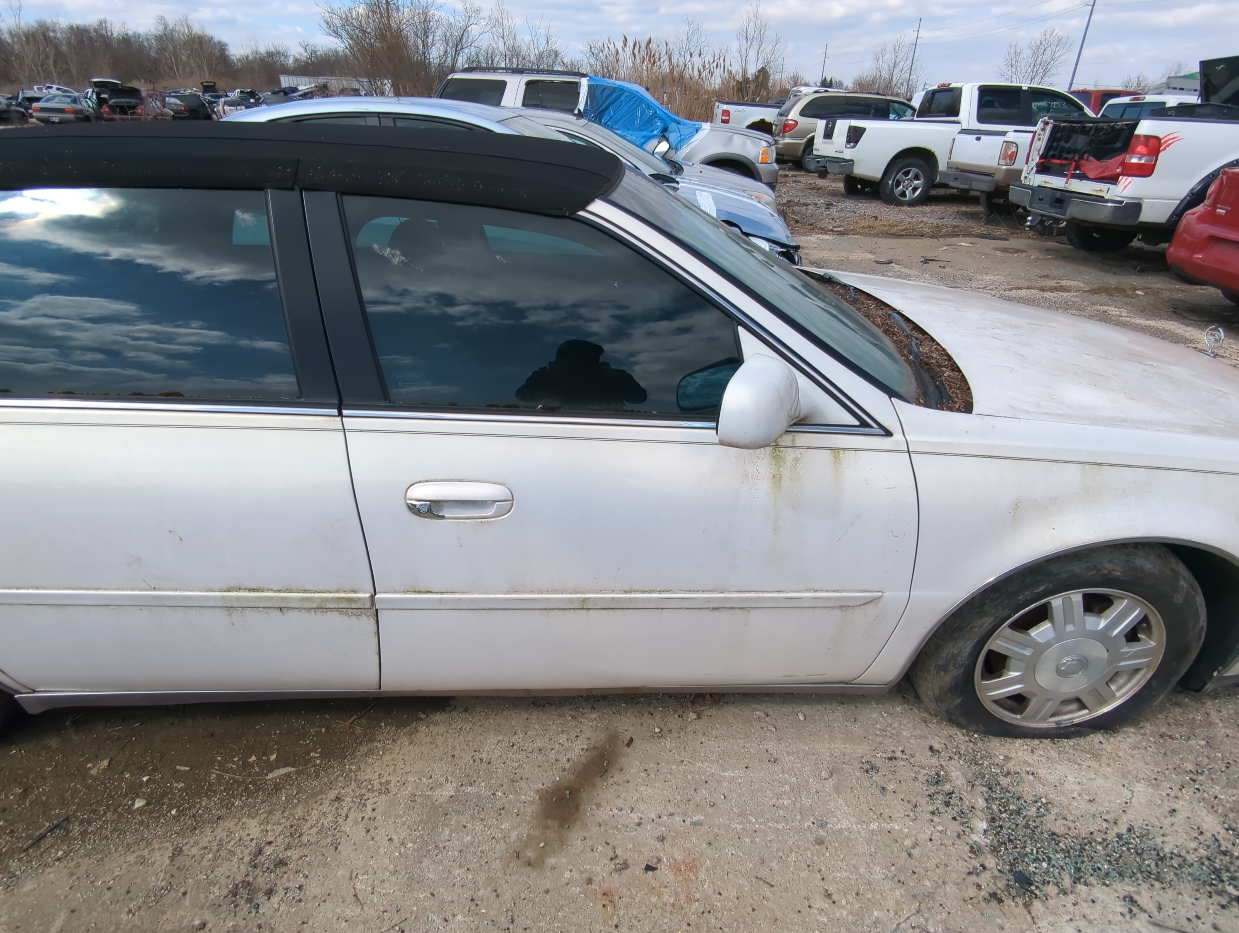 2002-2005 Cadillac Deville Passenger Front Door Oem 849163 - Oemusedautoparts1.com