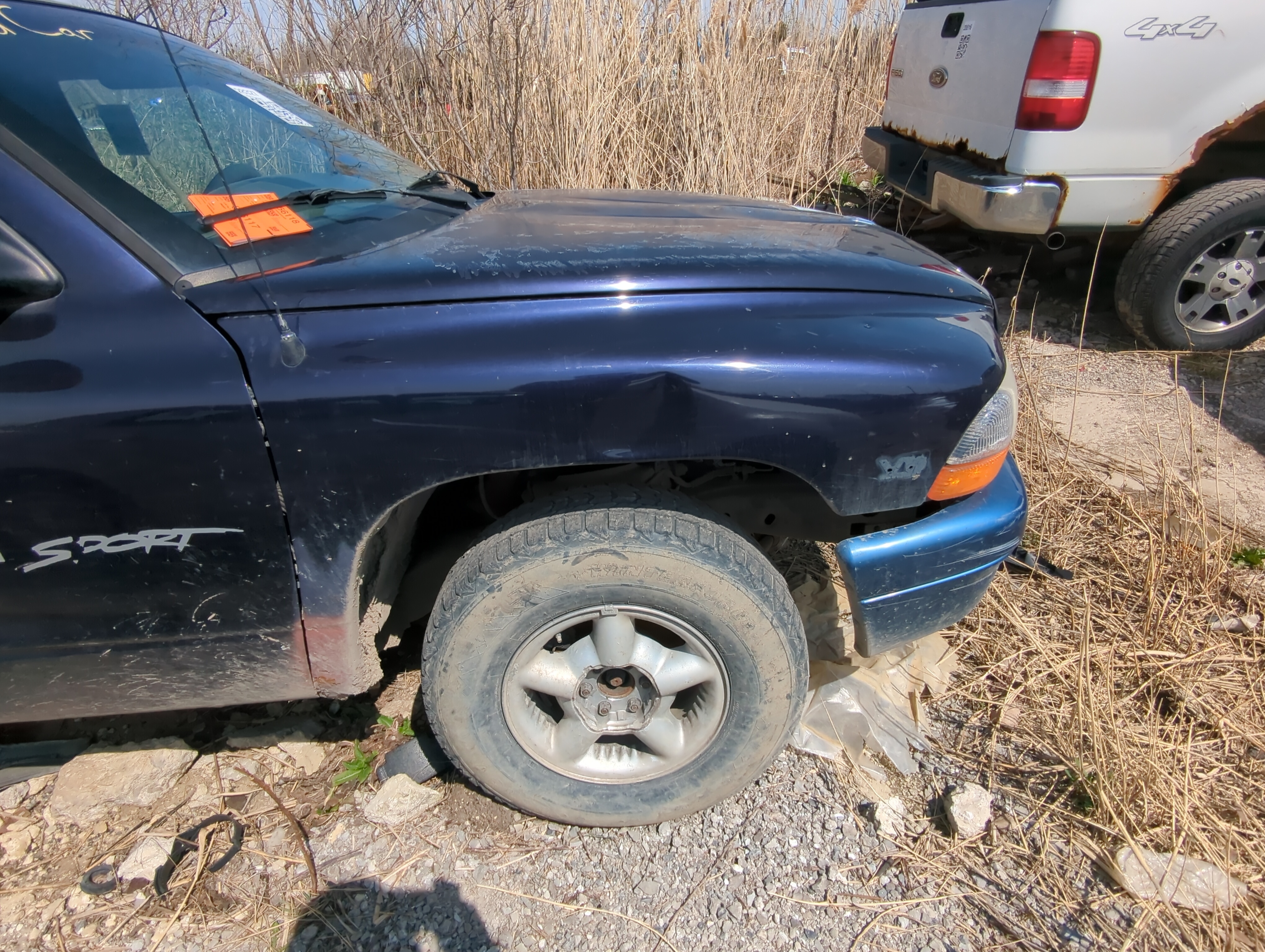 Picture of Dodge Dakota (mid-size) Dakota Passenger Fender 856845