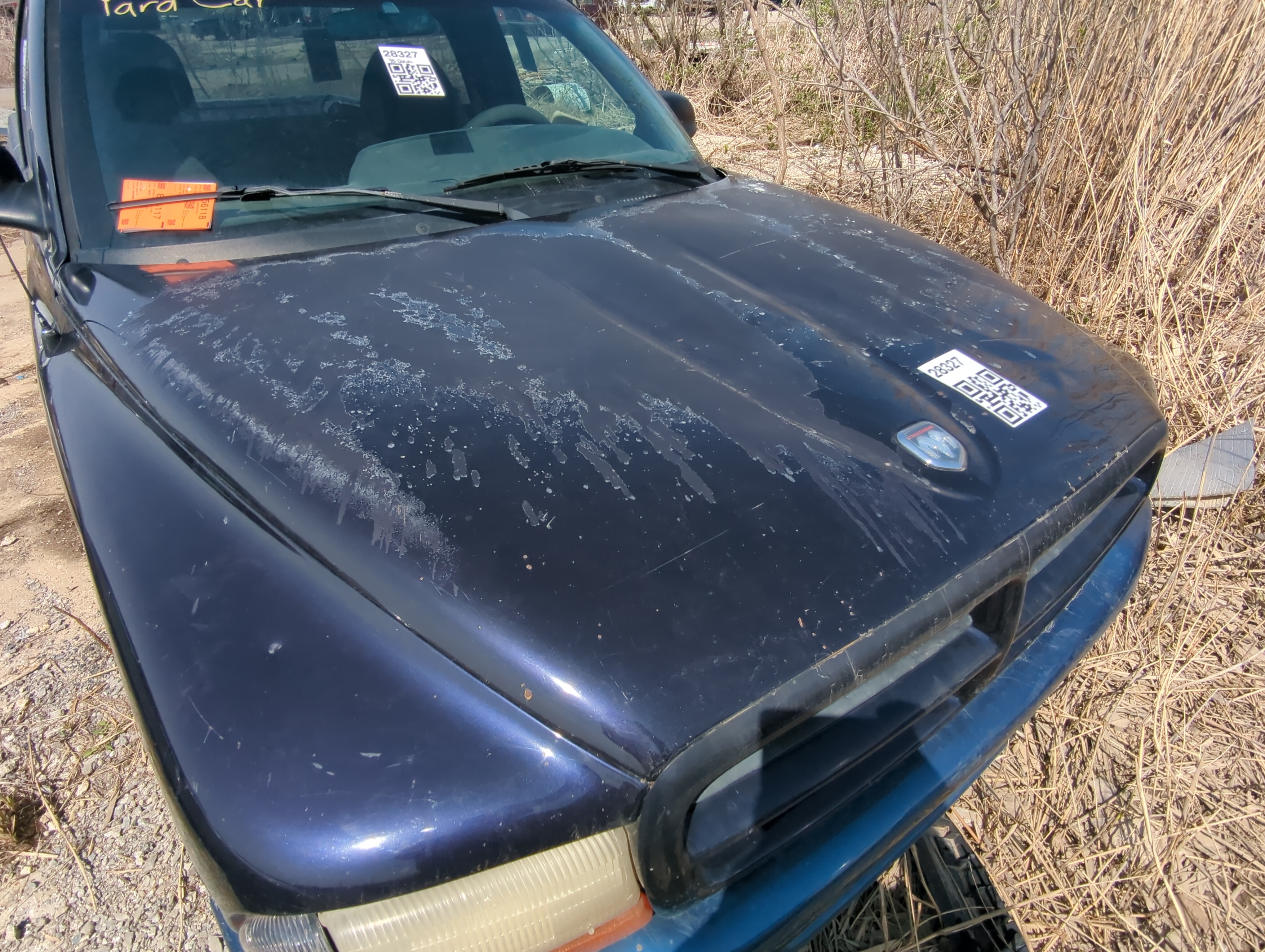 Picture of 1998 Dodge Dakota (mid-size) Dakota Hood Oem 856915